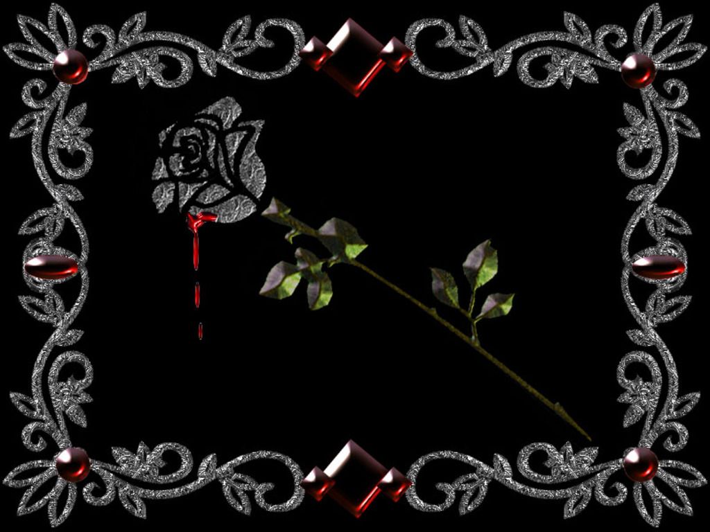 con Rose Gotiche Nere, 1920x1080 Full HD, Desktop