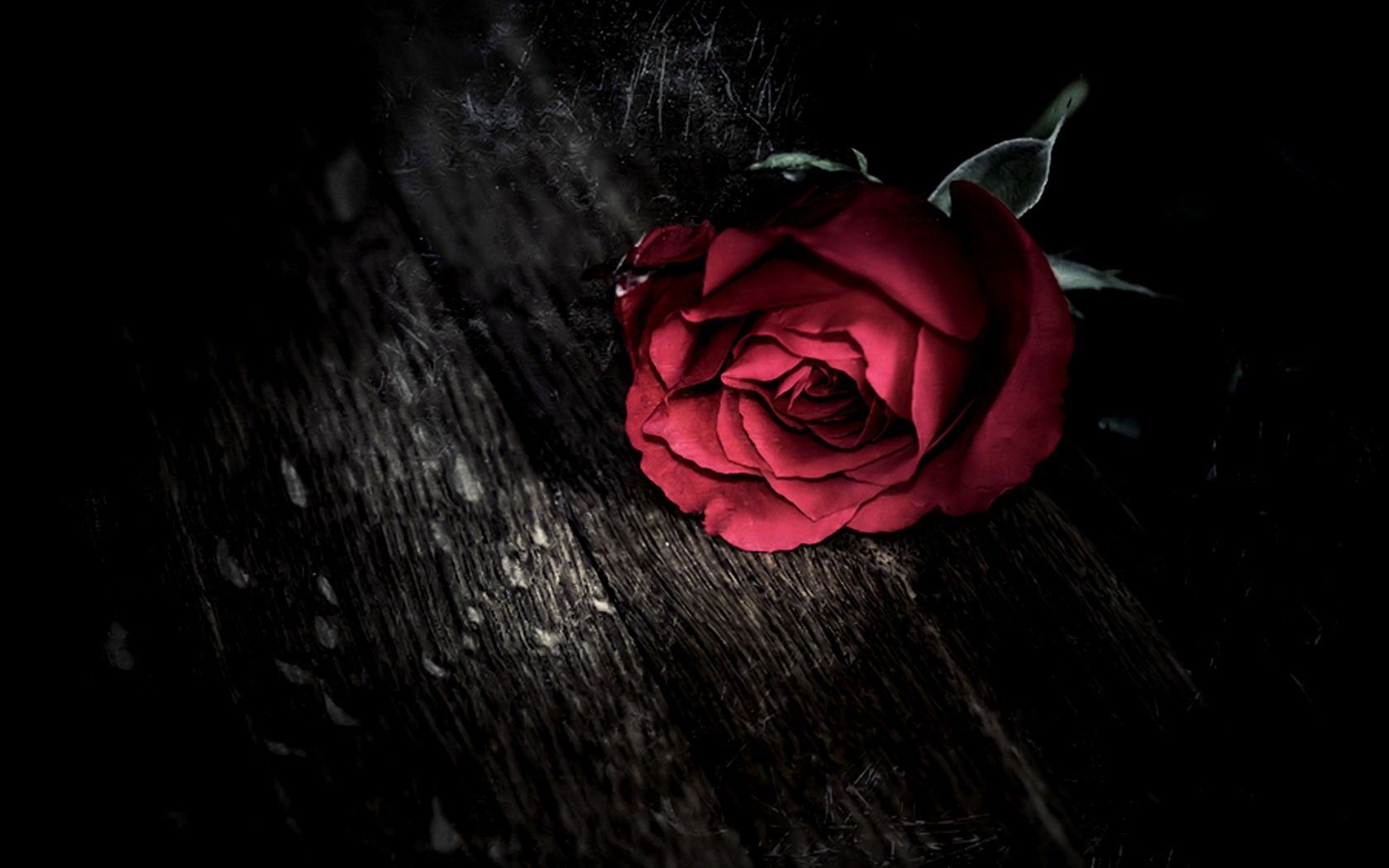 Rosa rossa con fumo nero, 1920x1080 Full HD, Laptop