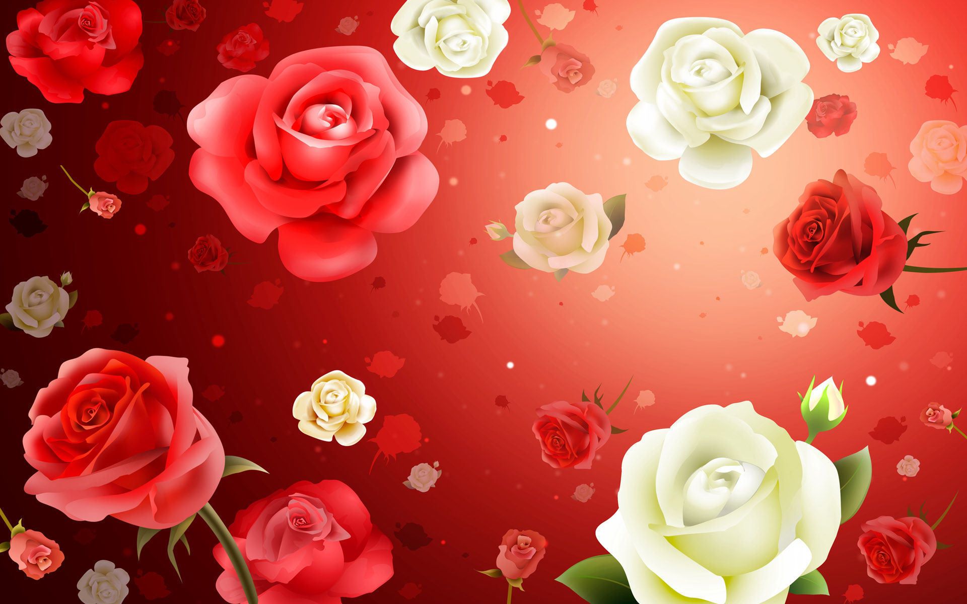 Rose rosse e bianche, 1920x1200 Full HD+, Laptop