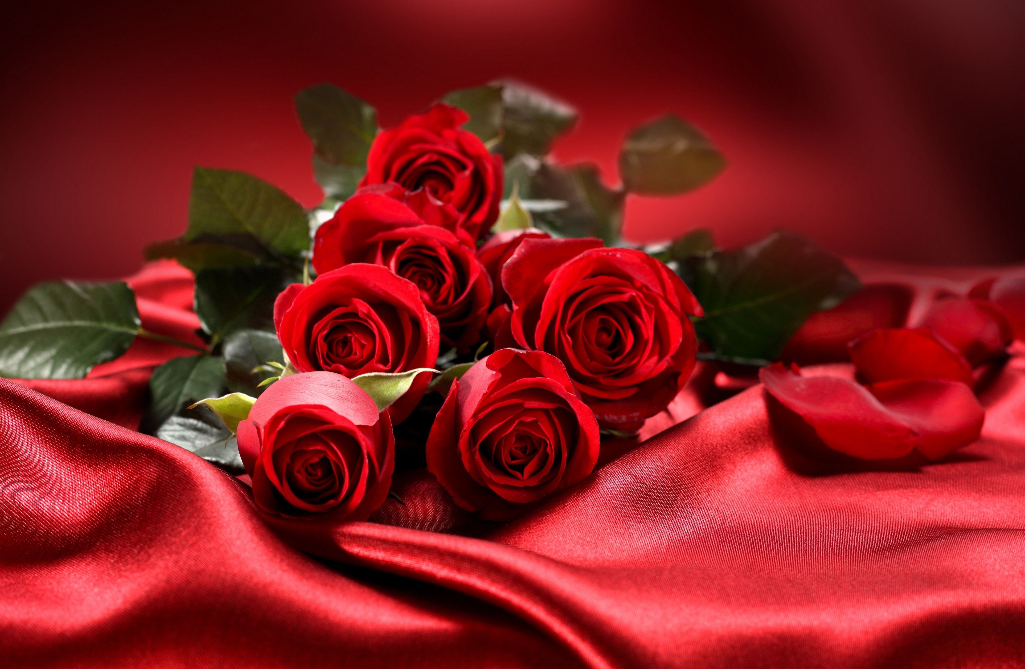 Rose rosse su seta rossa, 4350x2840 4K Ultra HD, Monitor 4K