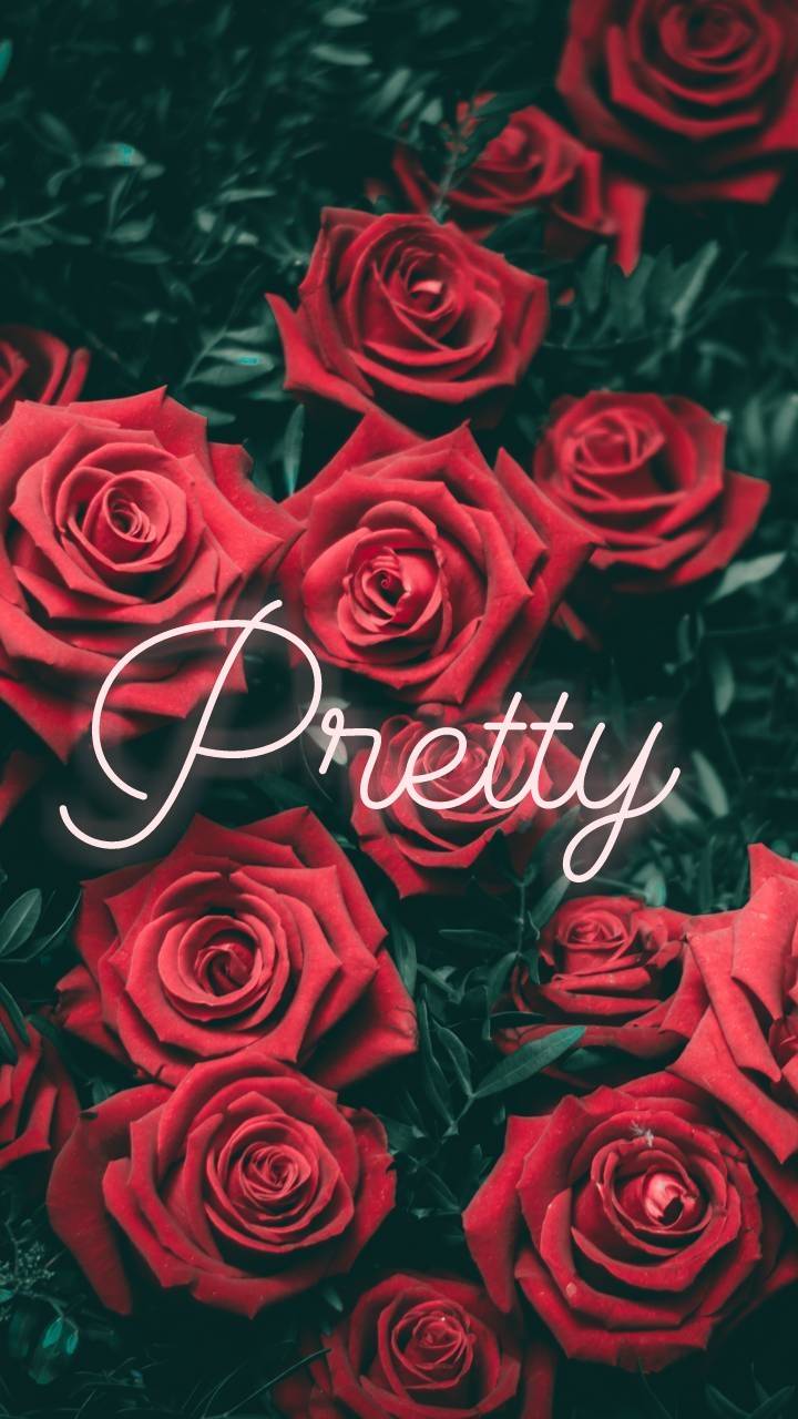 Rose rosse con scritta Pretty, 720x1280 Full HD Verticale, iPhone