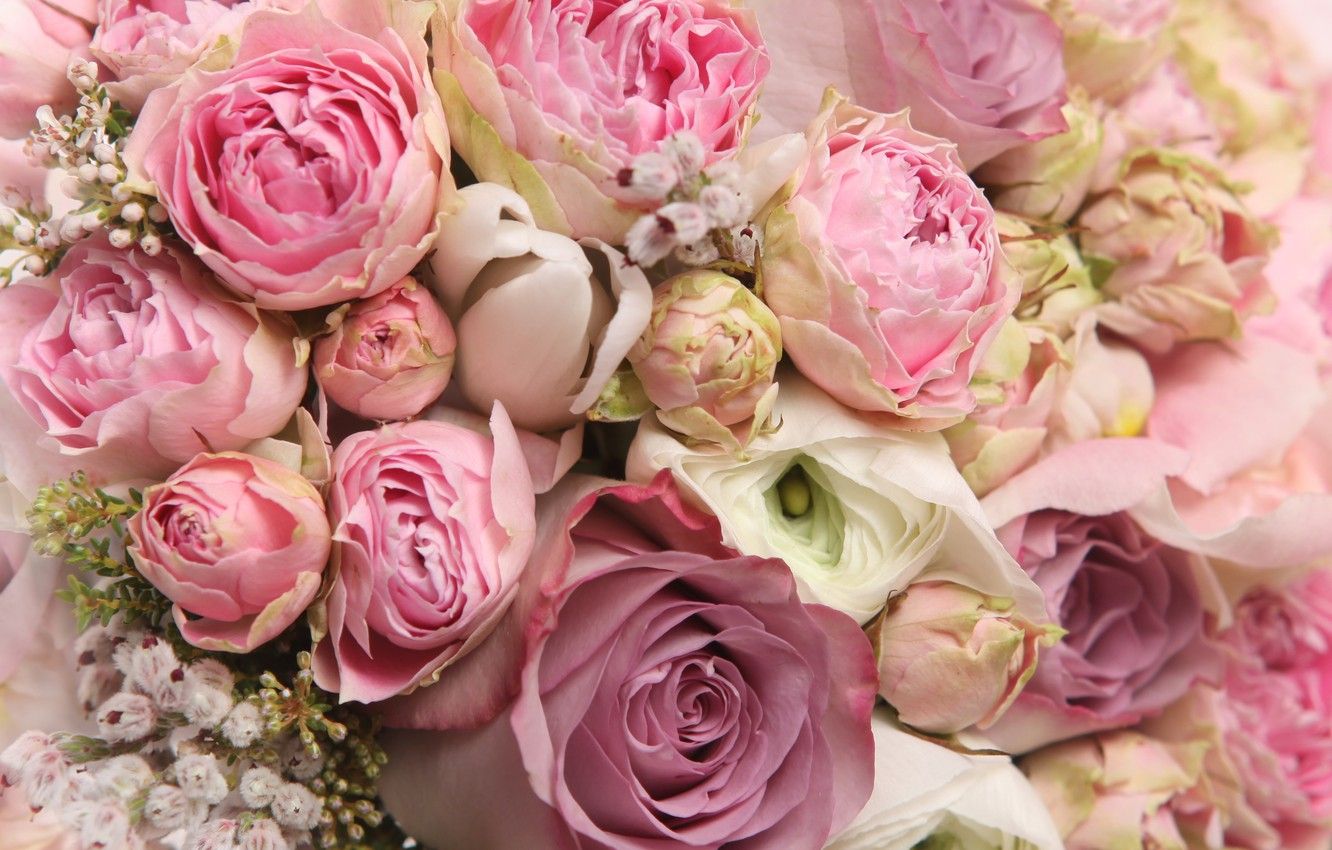 Bouquet rose rosa pastello, 1332x850 720p, Laptop