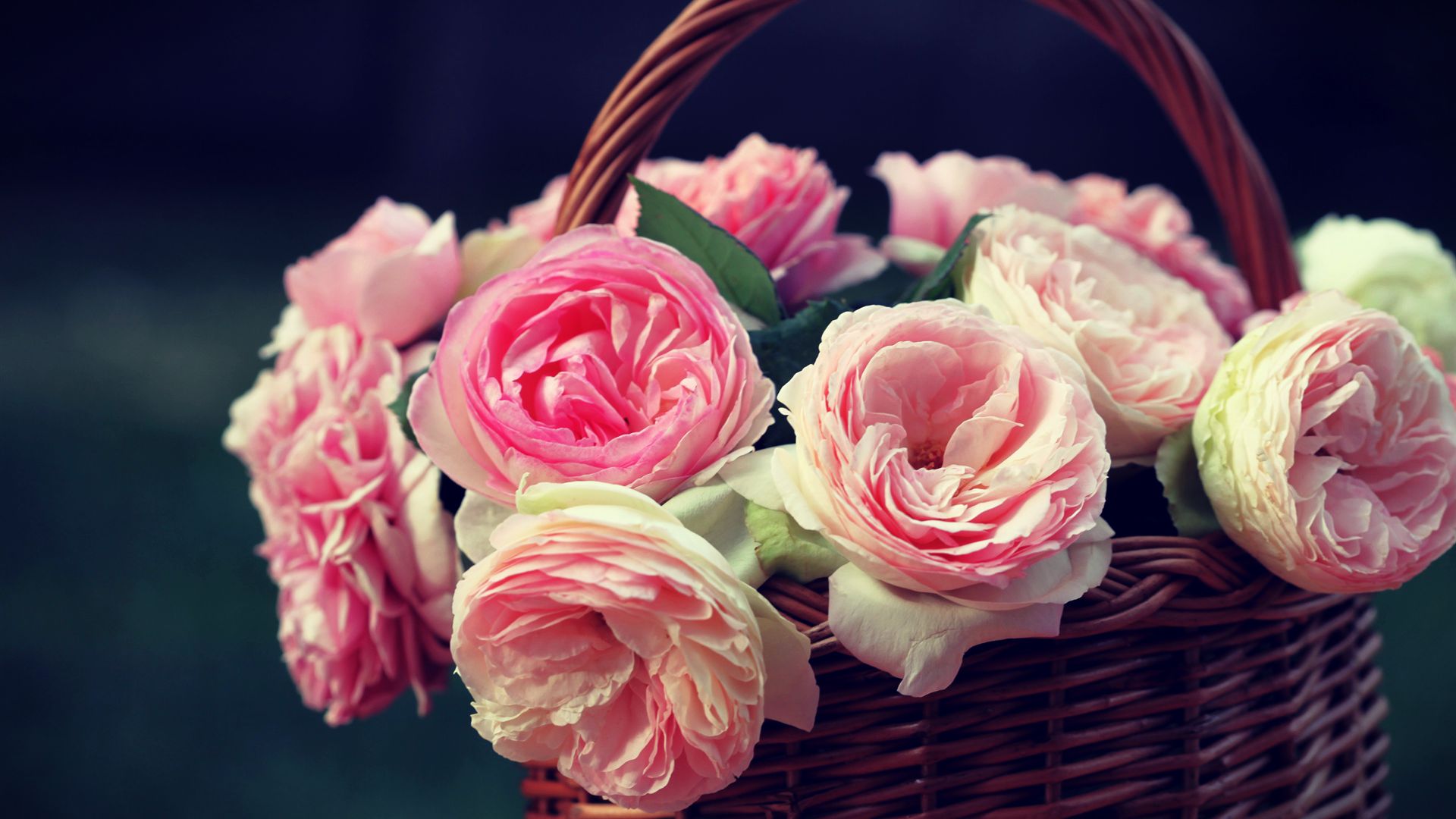 Cesto di rose rosa, 1920x1080 1080p, Desktop