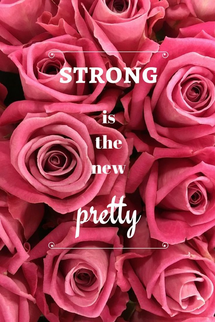 Rose rosa con scritta motivazionale, 736x1104 Full HD Verticale, Smartphone