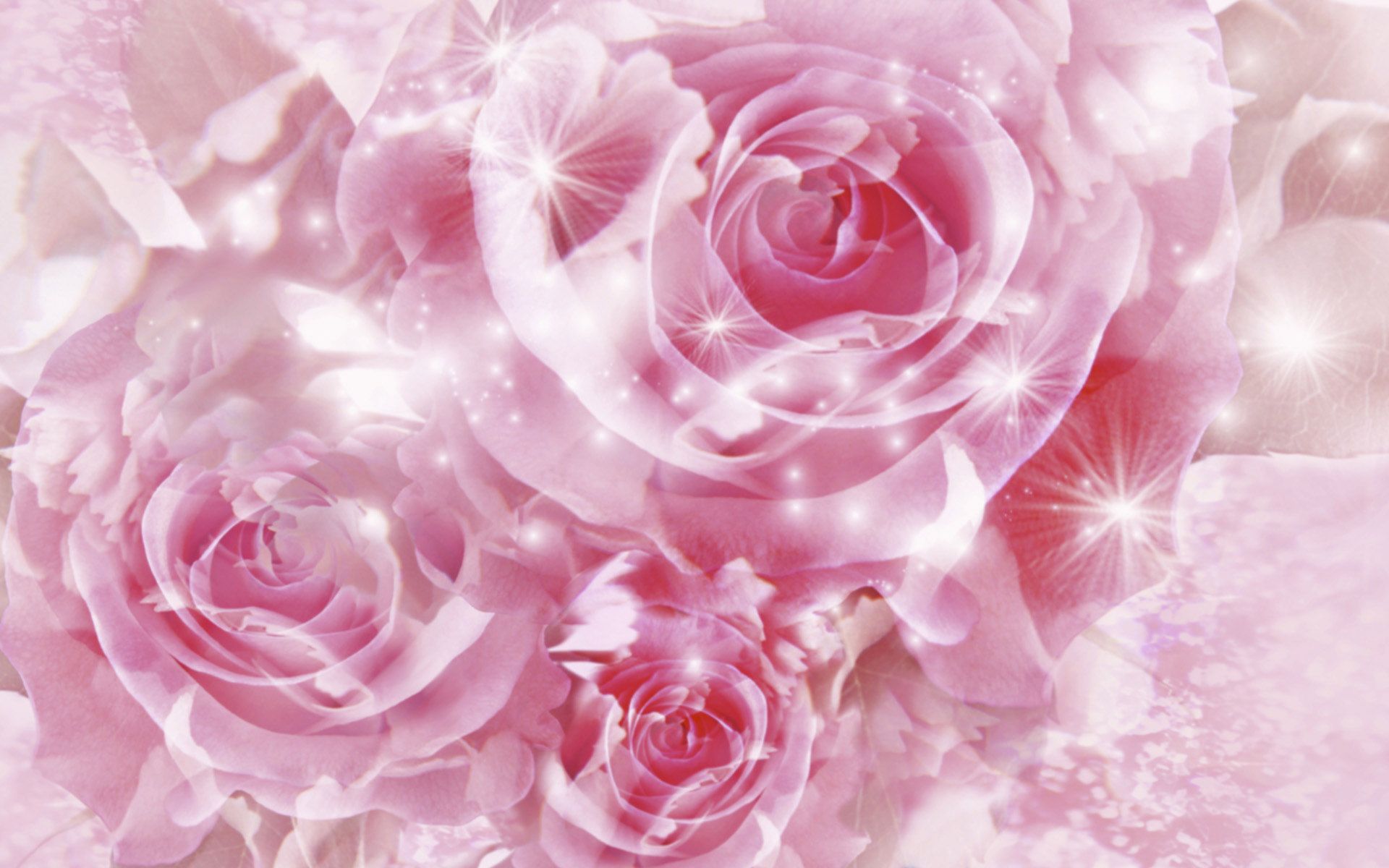 Rose rosa scintillanti, 1920x1200 Full HD+, Desktop