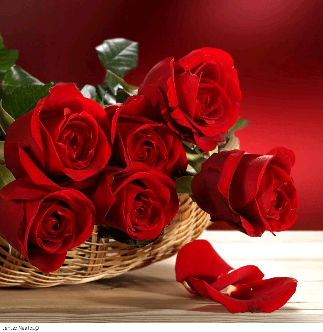 Rose rosse in cesto, 1100x1130 Full HD Verticale, Samsung Galaxy