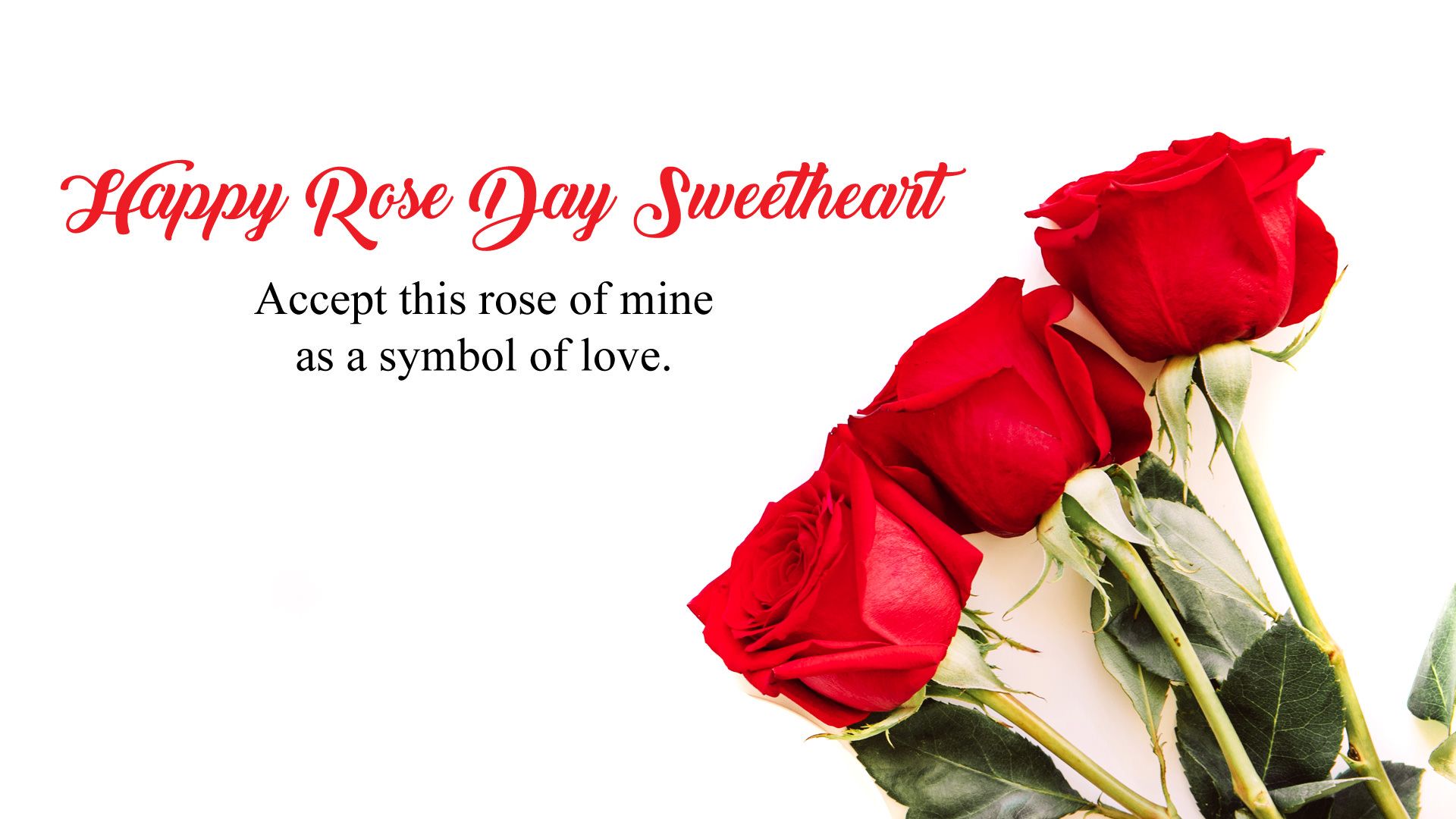 Rose rosse Rose Day, 1920x1080 Full HD 1080p, PC Desktop