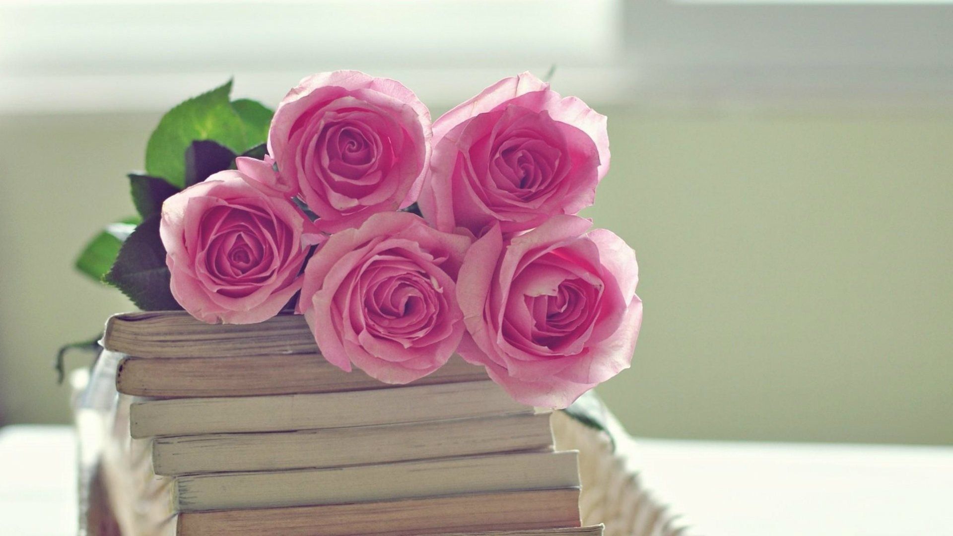 Rose rosa su libri antichi, 1920x1080 Full HD, Laptop