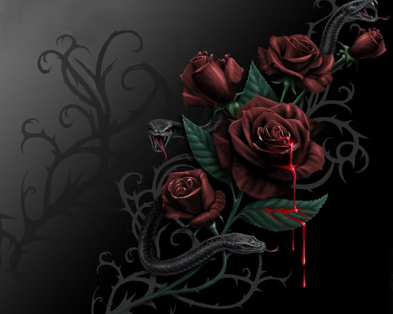 con Rose Gotiche Nere, 1280x1024 720p, PC