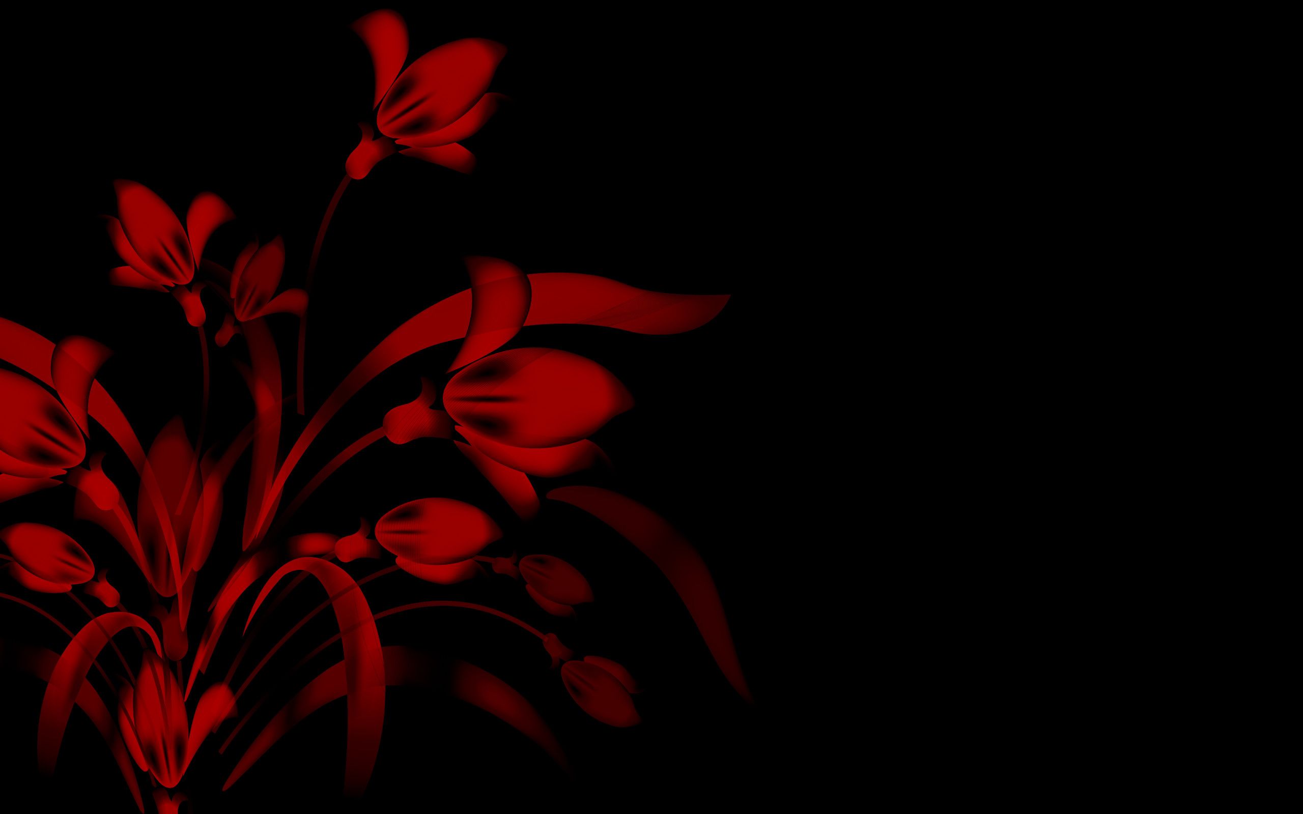 Rosa rossa su sfondo nero, 750x1334 Verticale, Mobile