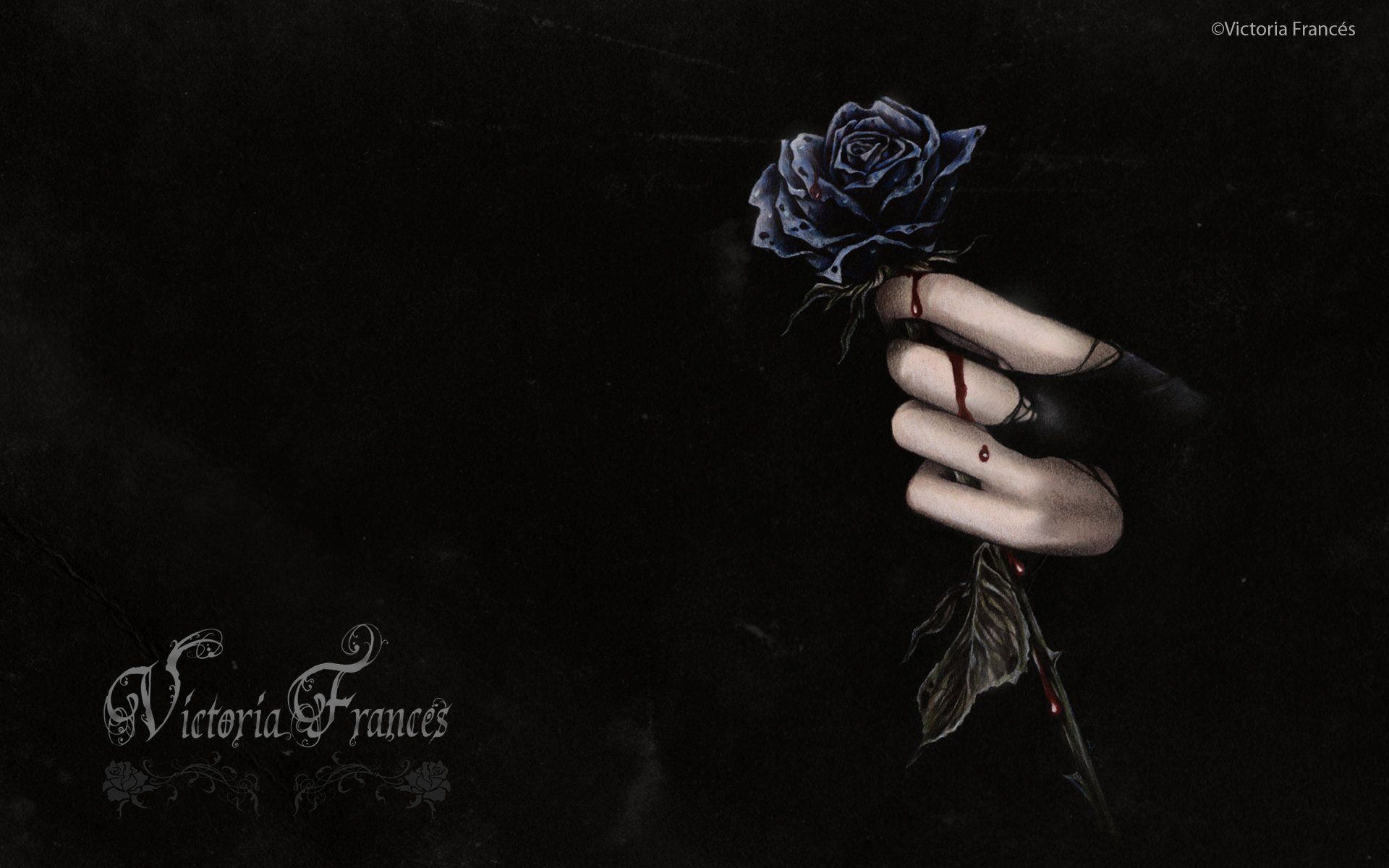 Rosa gotica nera e bianca, 1440x900 720p, Laptop
