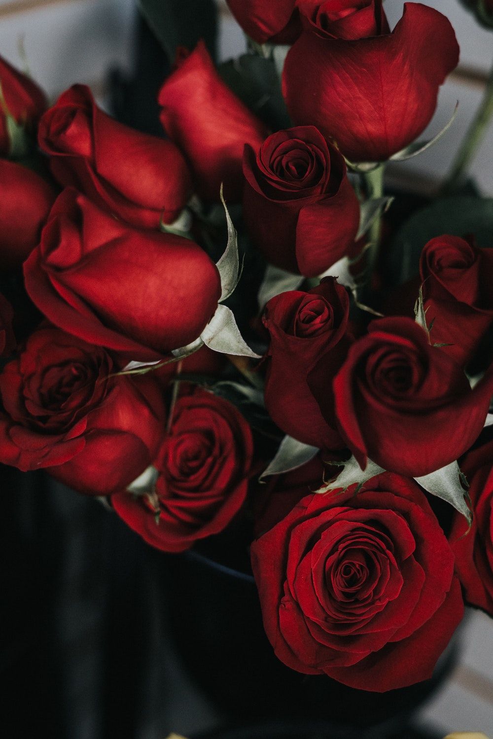 Rose rosse scure bouquet, 1000x1499 Verticale, Telefono