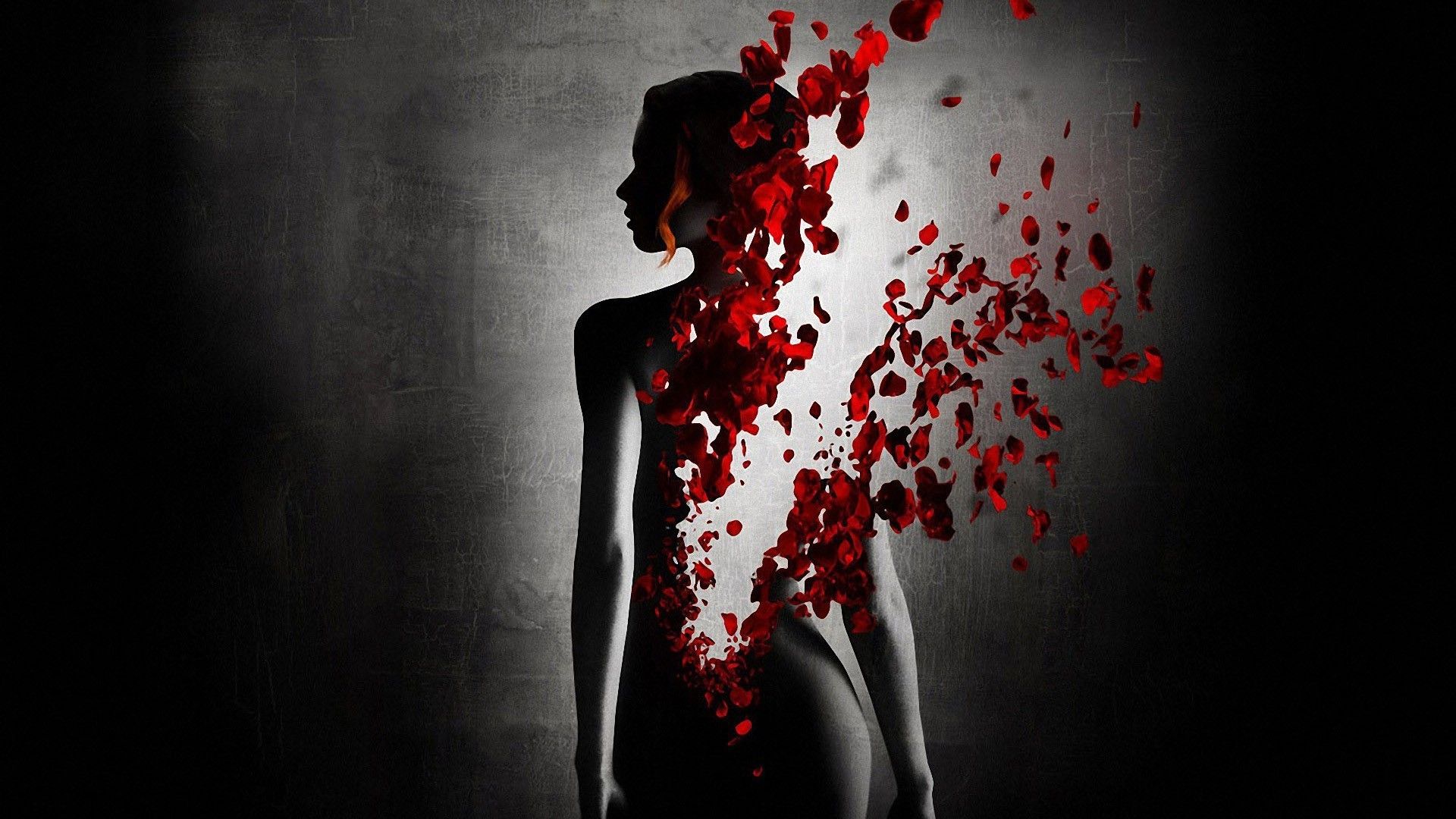 Silhouette donna con petali rossi, 1920x1080 Full HD, PC