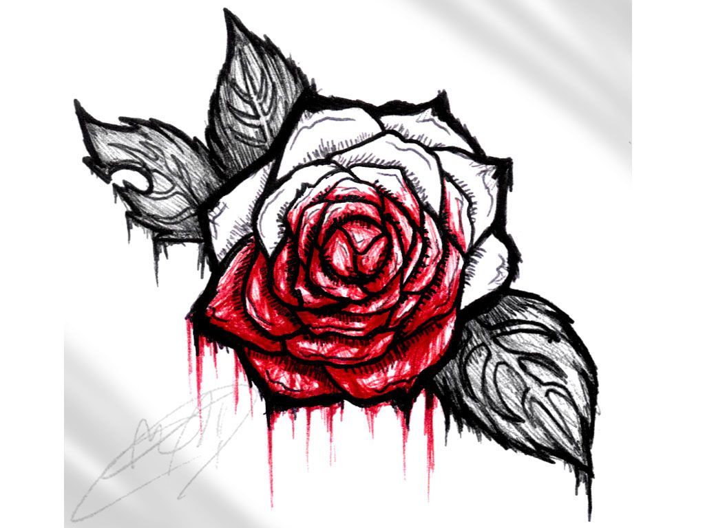 Rosa rossa su nero, 1920x1080 Full HD 1080p, PC