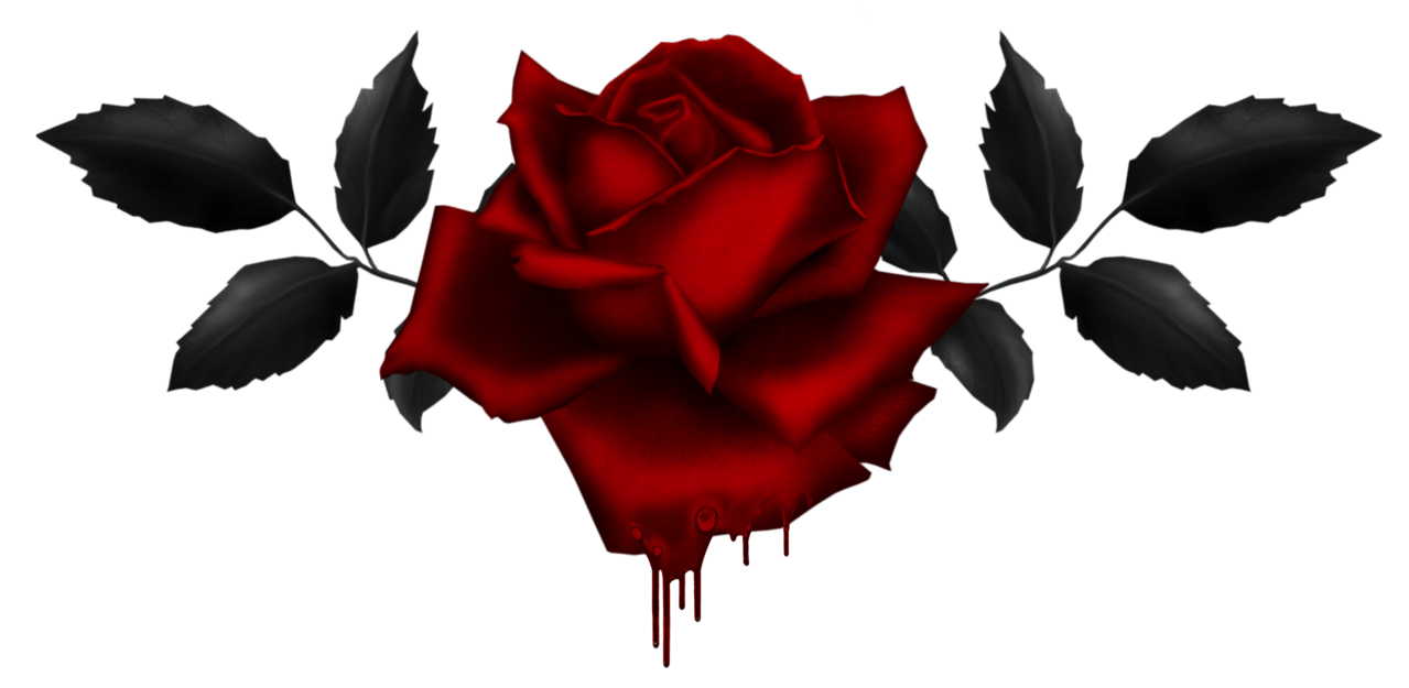Rosa nera in bianco e nero, 1024x768 HD, iMac