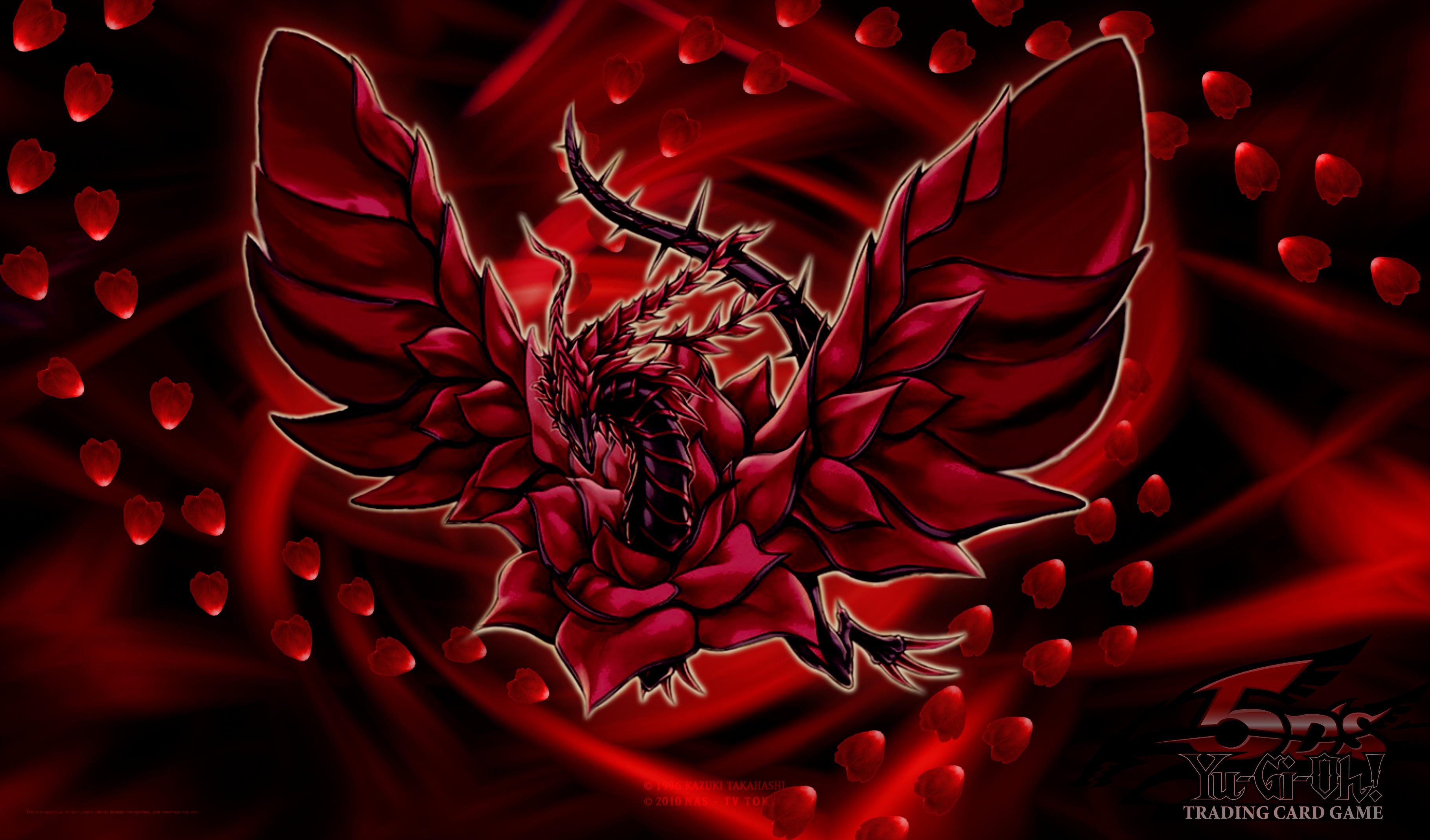 Rosa rossa tra fiori bianchi, 1920x1440 Full HD+ WUXGA, Desktop