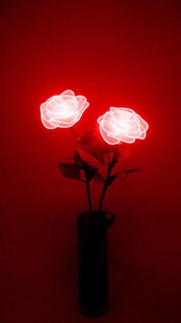 Rose neon rosse luminose, 720x1280 Verticale, Mobile