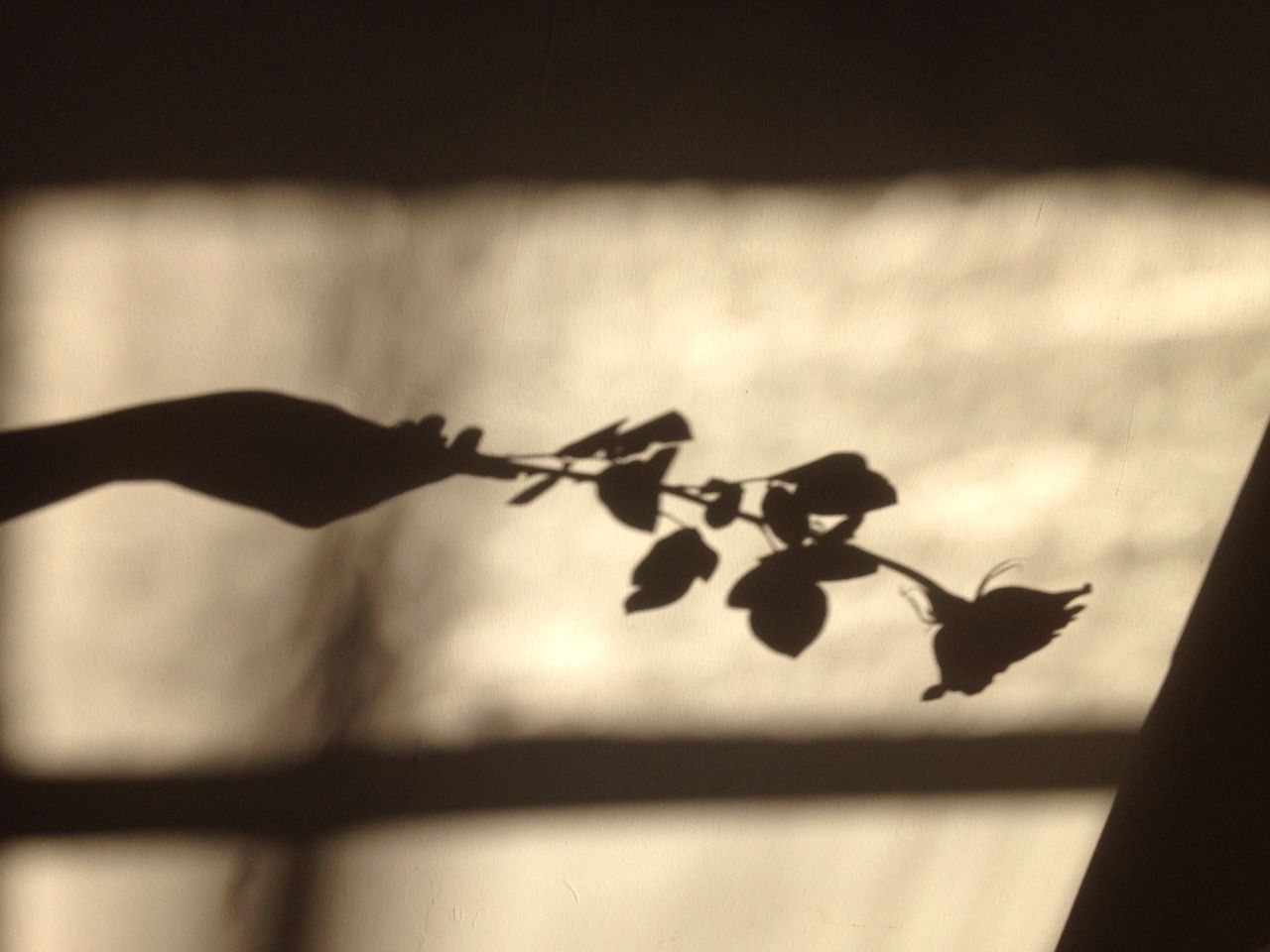 Lampada circolare luminosa nero, 1000x1500 Full HD Verticale, iPhone