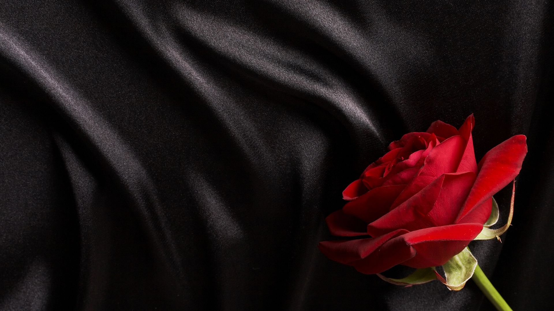 Rosa rossa su seta nera, 1920x1080 1080p, Laptop