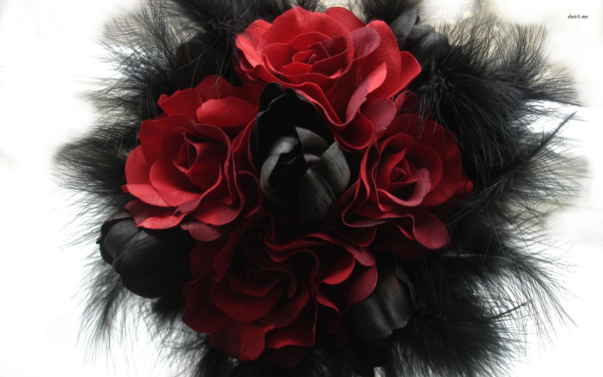 Bouquet rose rosse e nere, 1920x1200 WUXGA, iMac