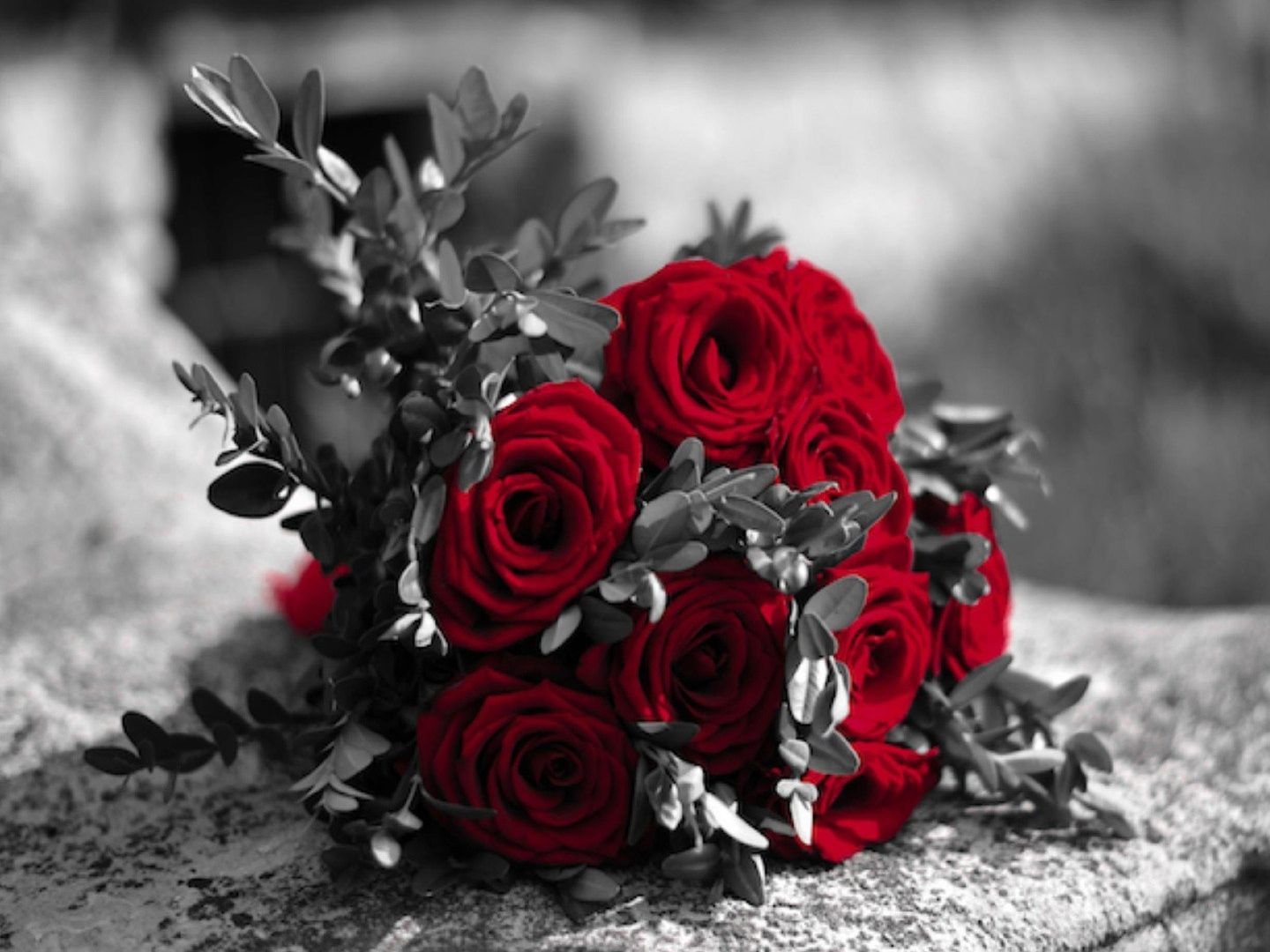Bouquet rose rosse bianco nero, 1440x1080 HD, Desktop