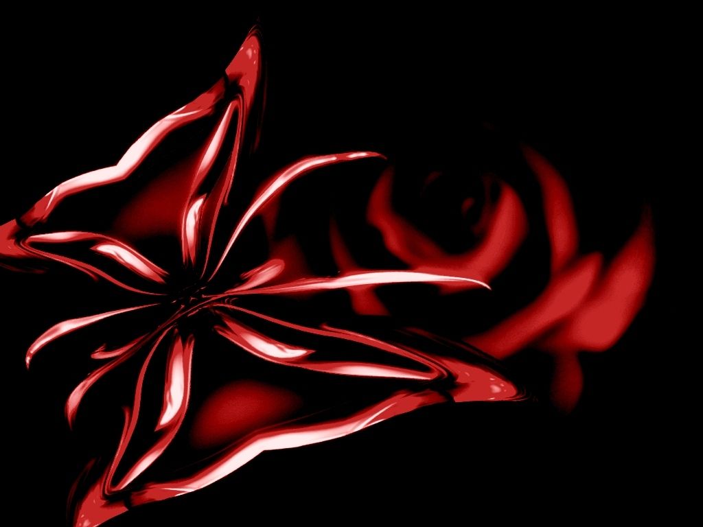 Rosa rossa astratta sfondo nero, 1024x768 HD, PC