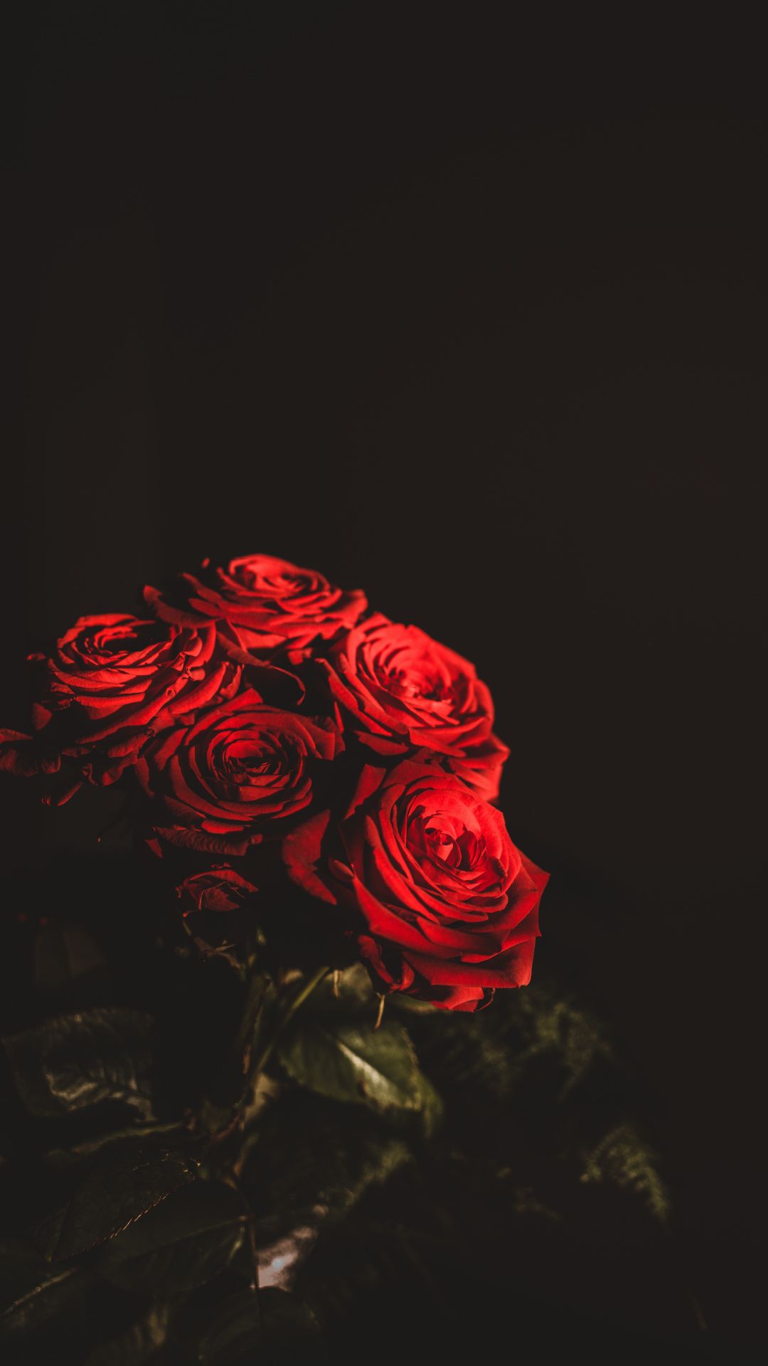 Bouquet rose rosse sfondo nero, 1080x1920 Verticale, Samsung Galaxy