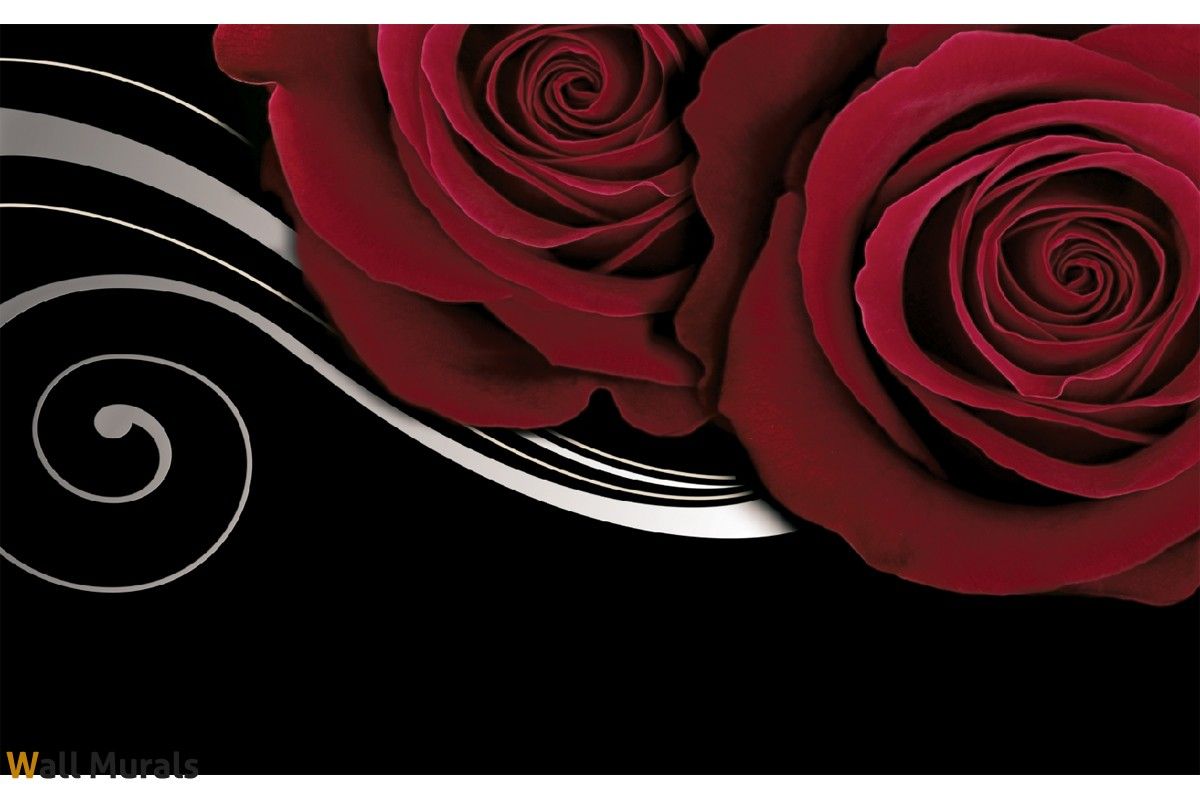 Rose rosse su sfondo nero, 1200x800 HD, PC