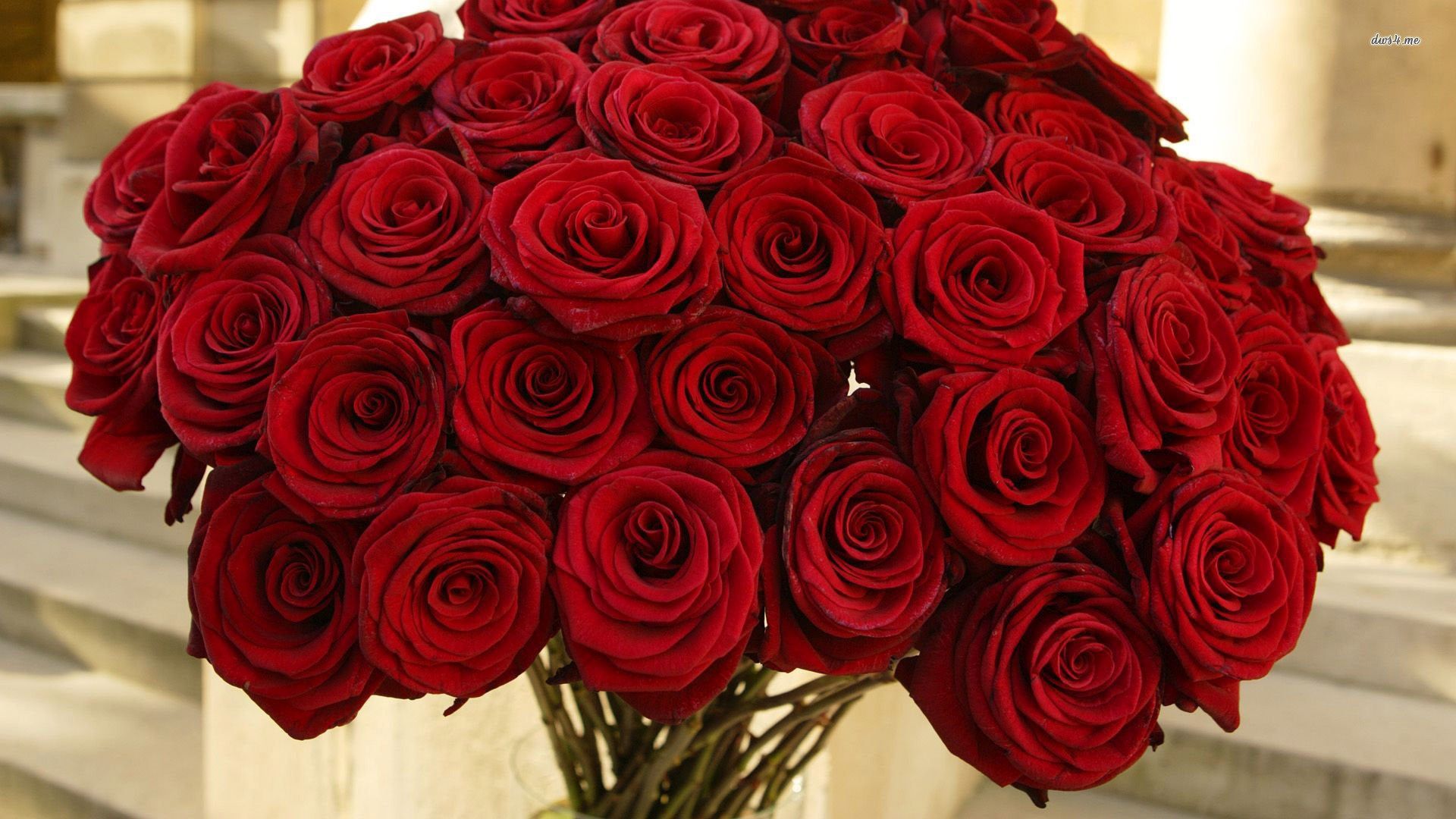 Bouquet di rose rosse, 1920x1080 Full HD, Desktop