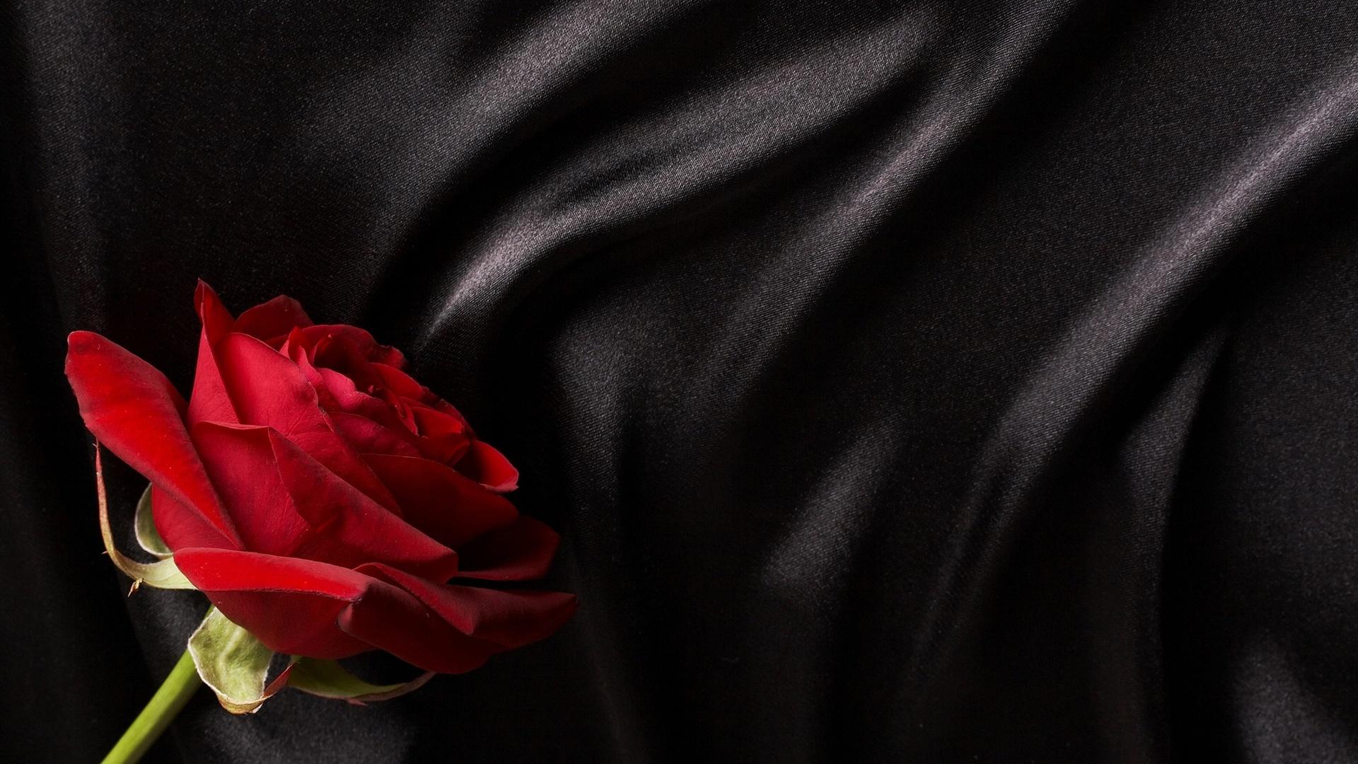 Rosa rossa su seta nera, 1920x1080 Full HD, PC Desktop