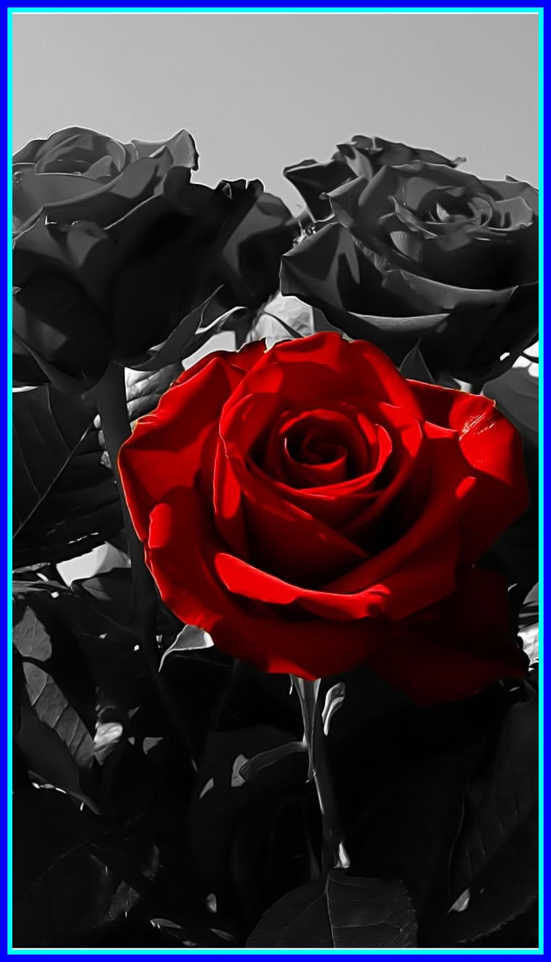 Rosa rossa con fumo, 750x1334 Full HD Verticale, iPhone Plus