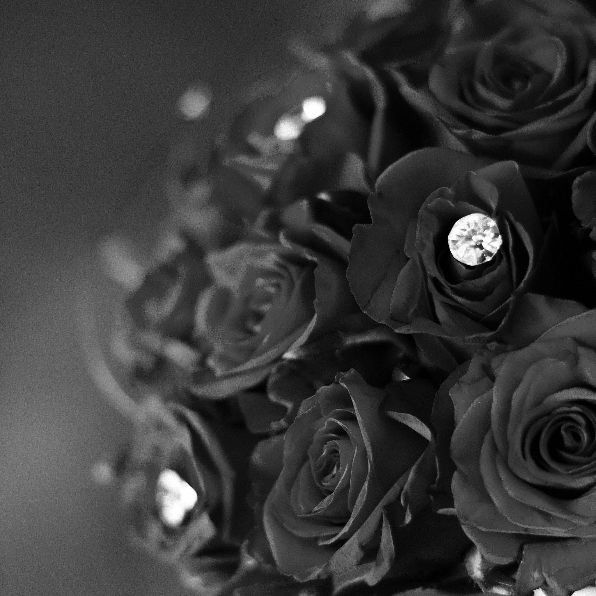 Rosa rosa su nero, 1080x1920 Full HD Verticale, iPhone Air