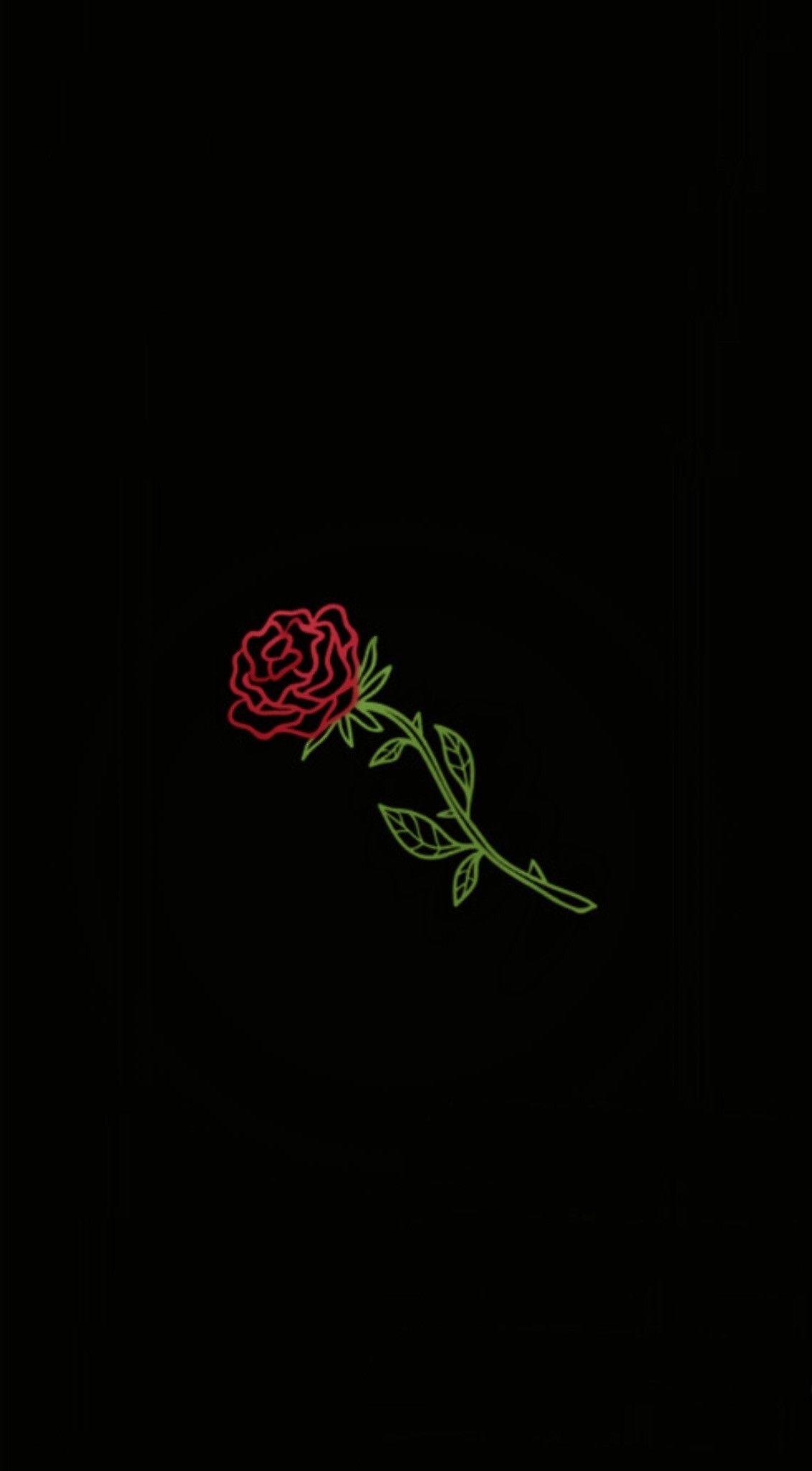 Rosa rossa su nero, 750x1334 Verticale, iPhone Pro Max