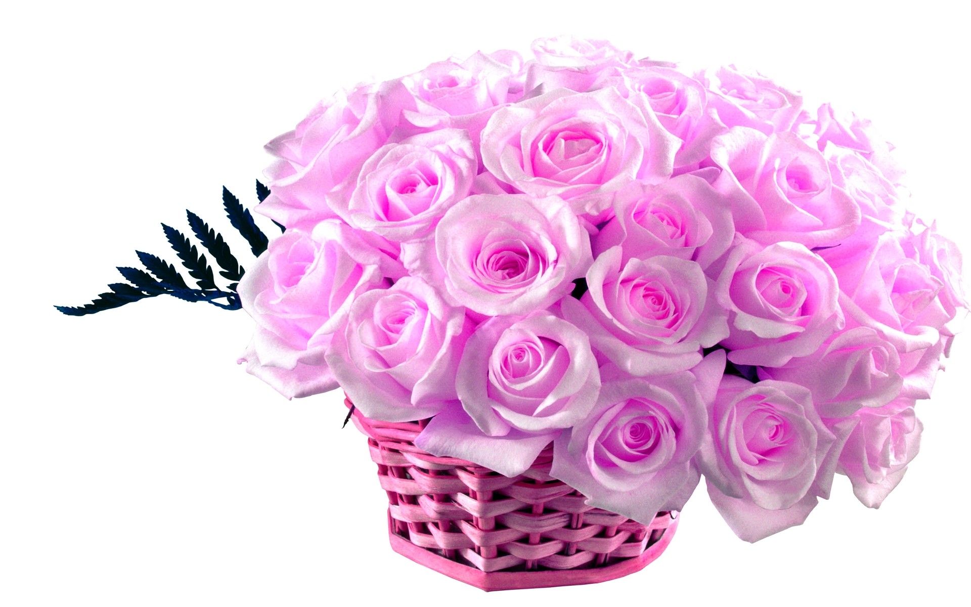 Cesto di rose rosa, 1920x1200 Full HD+ WUXGA, PC