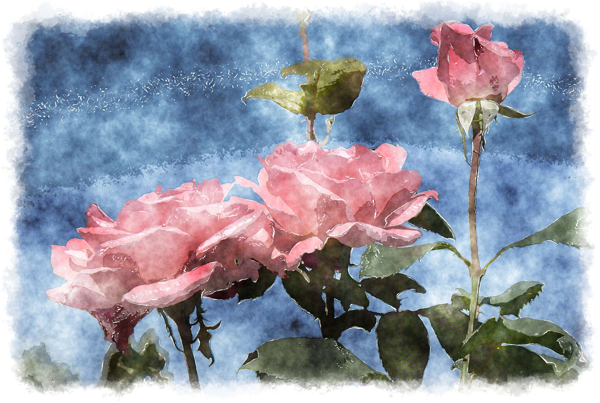 Rose rosa acquerello, 1920x1290 Full HD+ WUXGA, Desktop
