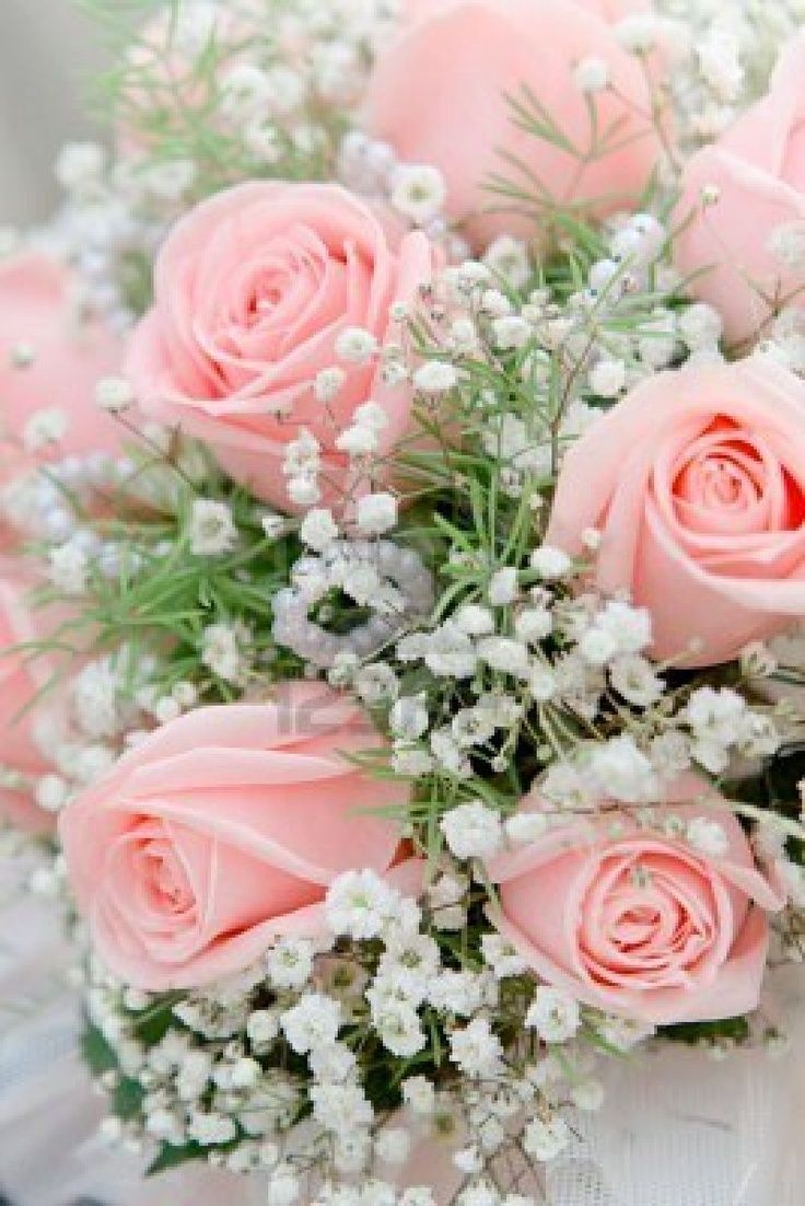 Rose rosa e fiori bianchi, 736x1102 Verticale, Telefono