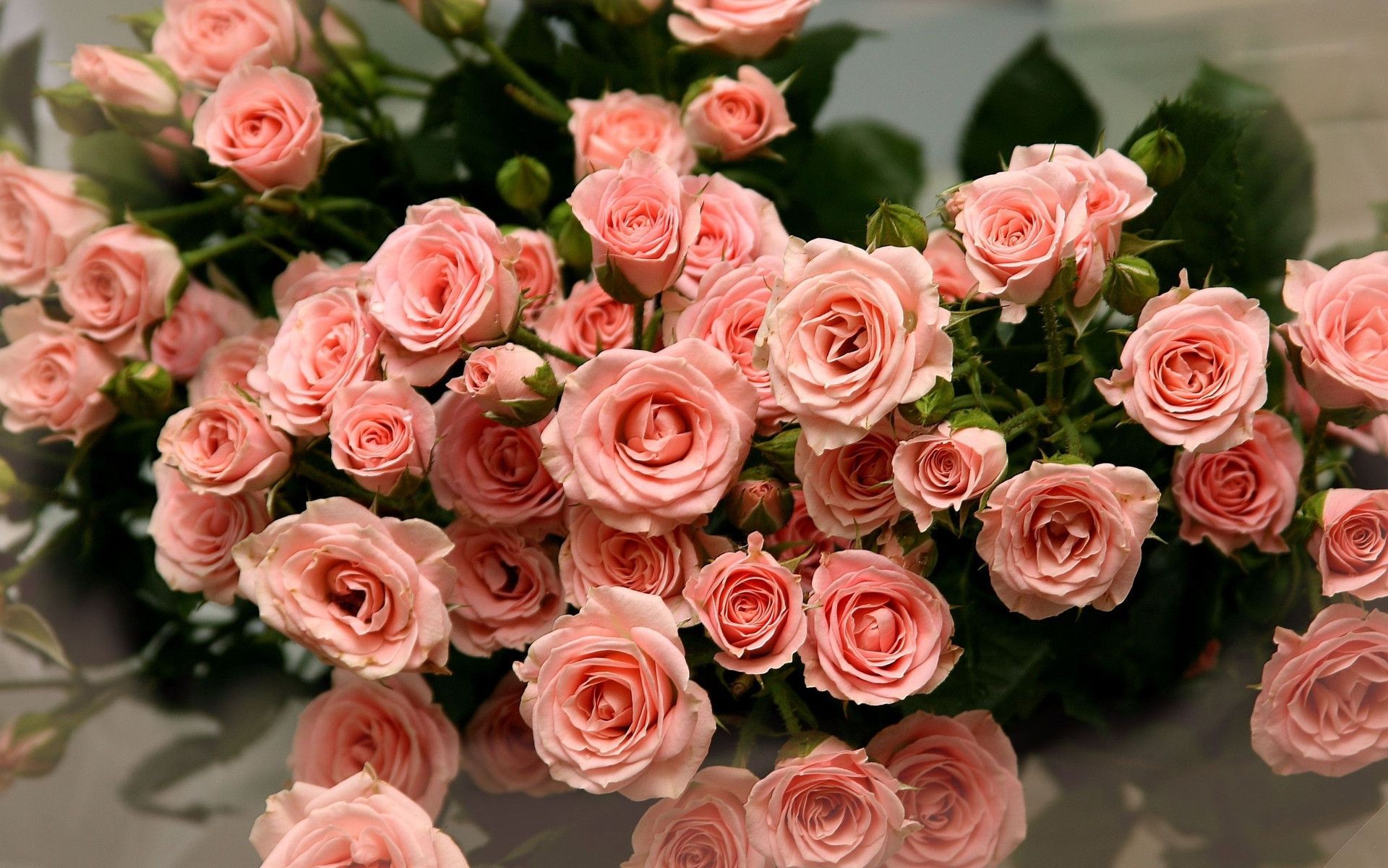 Mazzo di rose rosa, 1920x1200 Full HD+, Desktop