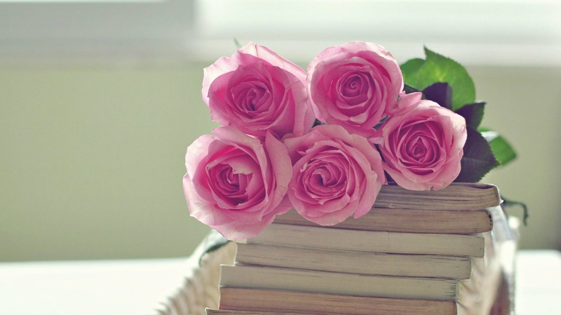 Rose rosa su libri, 1920x1080 Full HD 1080p, Laptop
