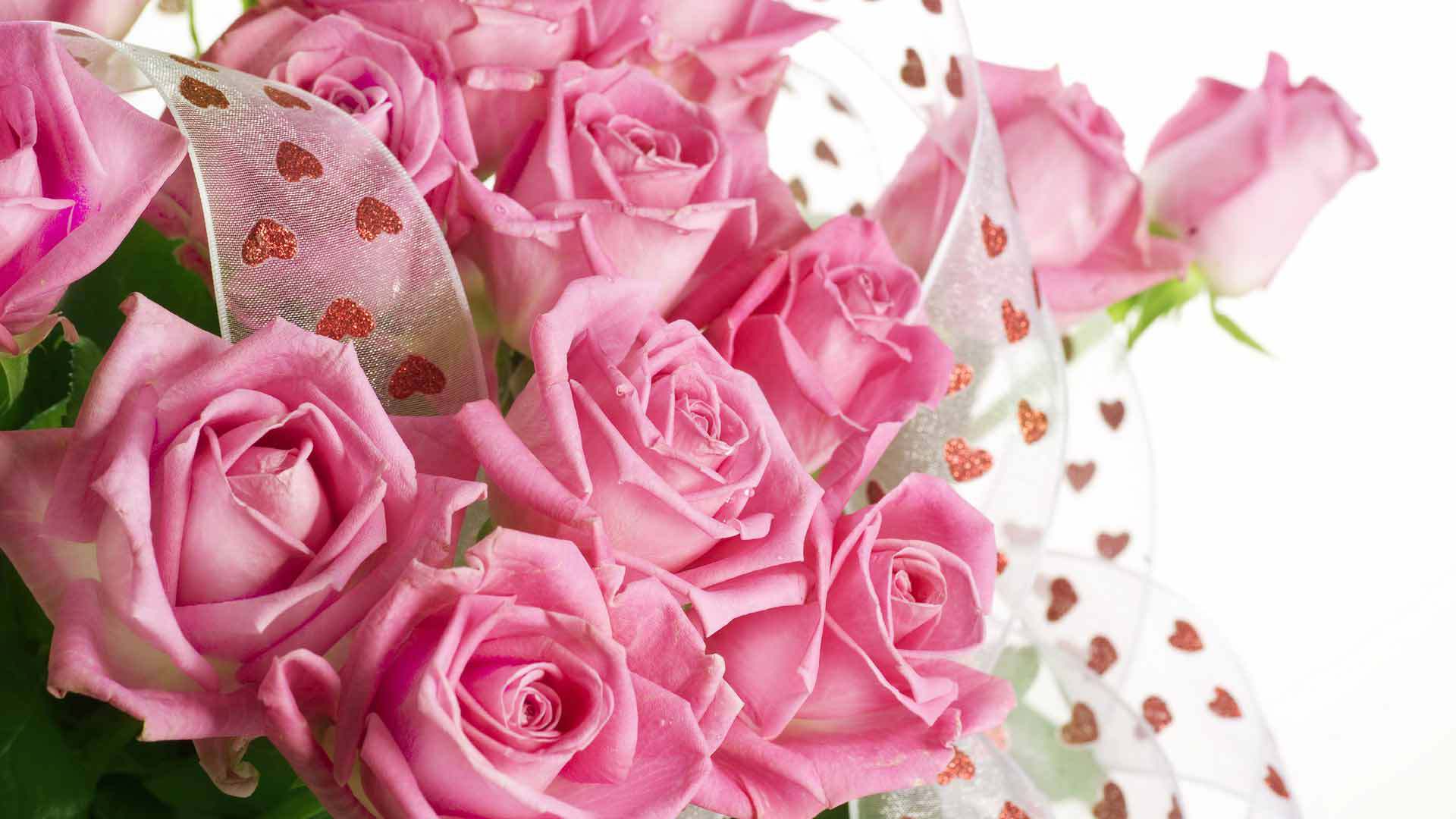 Bouquet rose rosa con nastro, 1920x1080 1080p, PC
