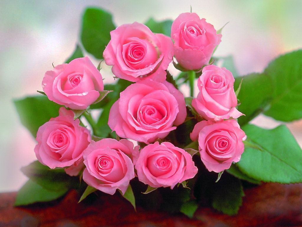 Bouquet di rose rosa, 1024x768 HD, PC Desktop