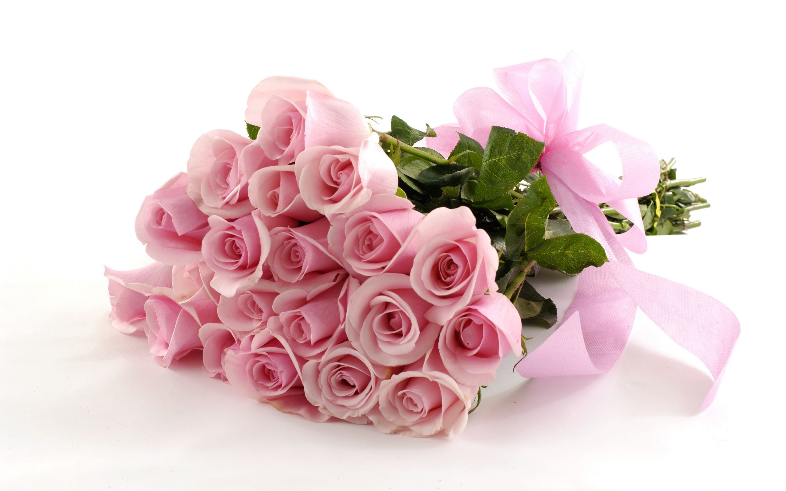 Bouquet di rose rosa, 2560x1600 2K+, PC