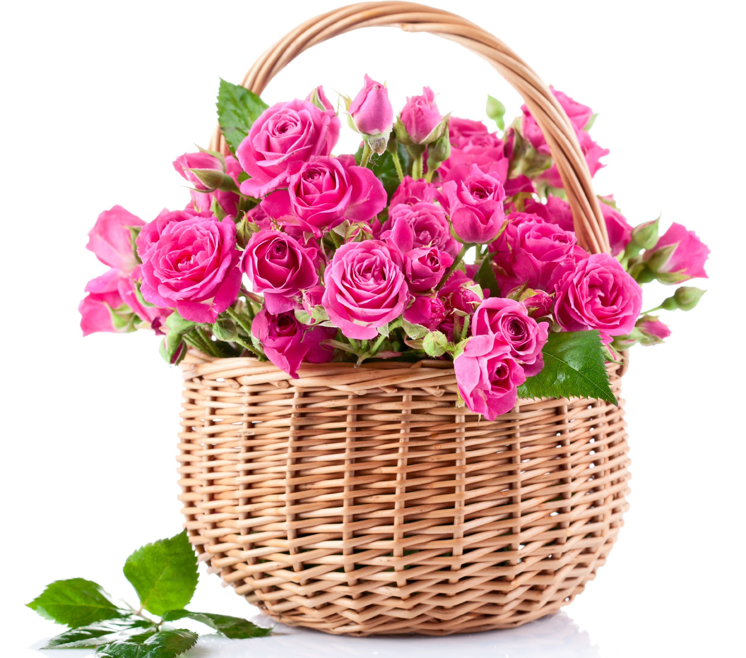 Cesto di vimini con rose rosa, 2560x2260 WQXGA, Monitor Gaming