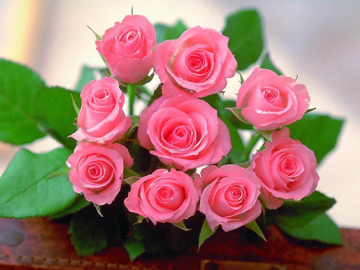 Bouquet di rose rosa, 1200x900 HD, PC
