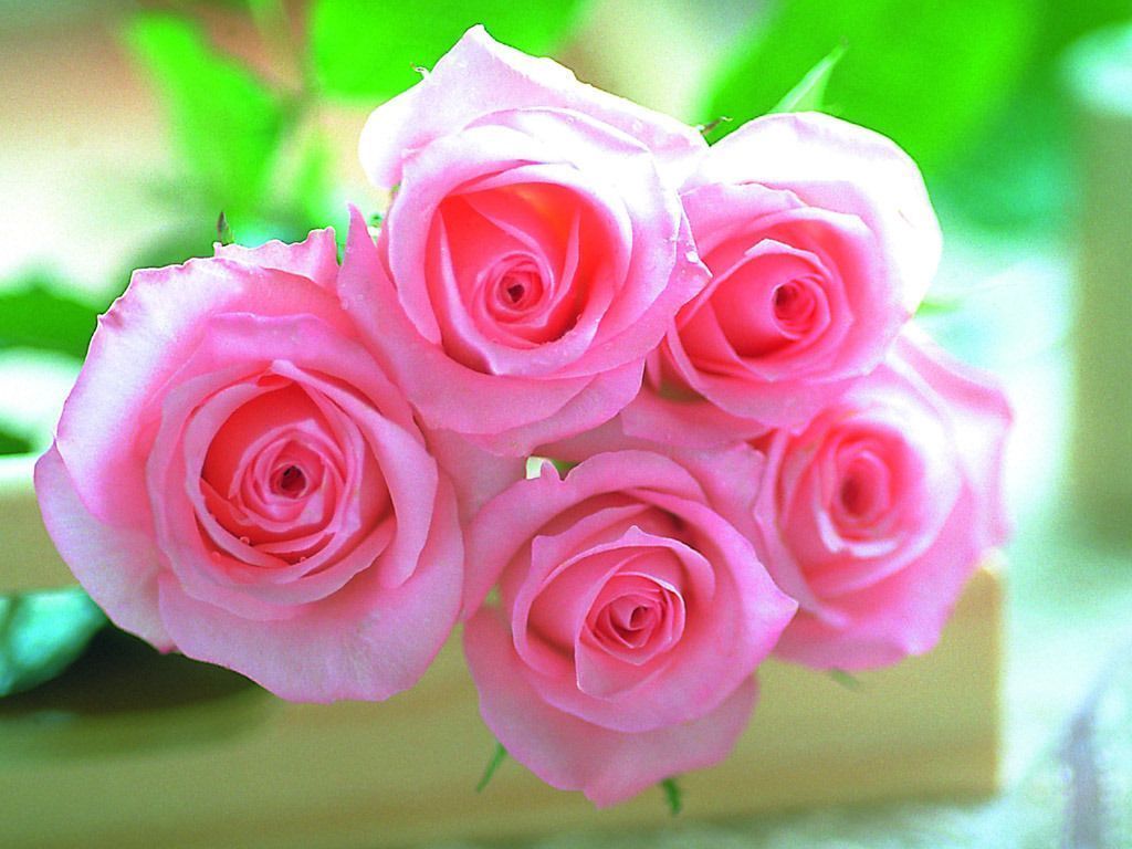 Bouquet di rose rosa, 1024x768 HD, Laptop