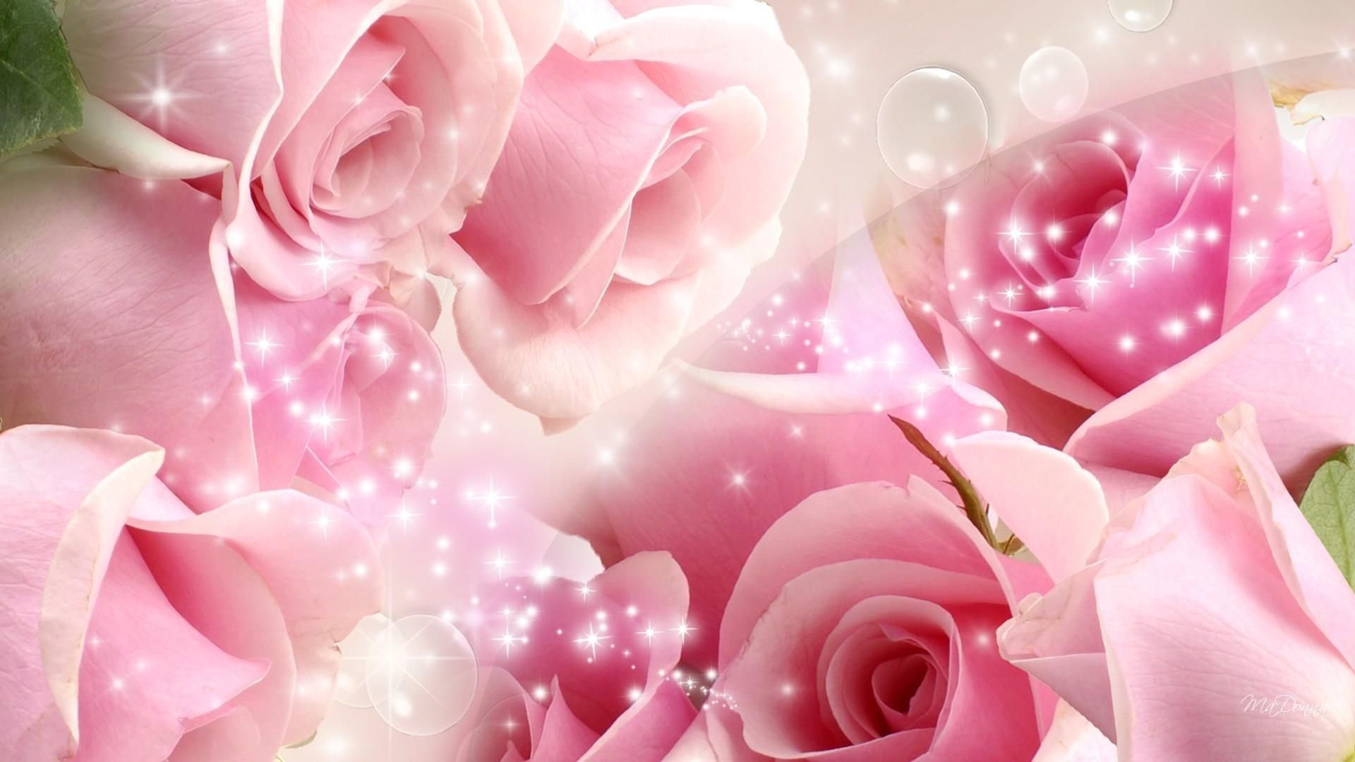Rose rosa scintillanti, 1920x1080 Full HD 1080p, Desktop