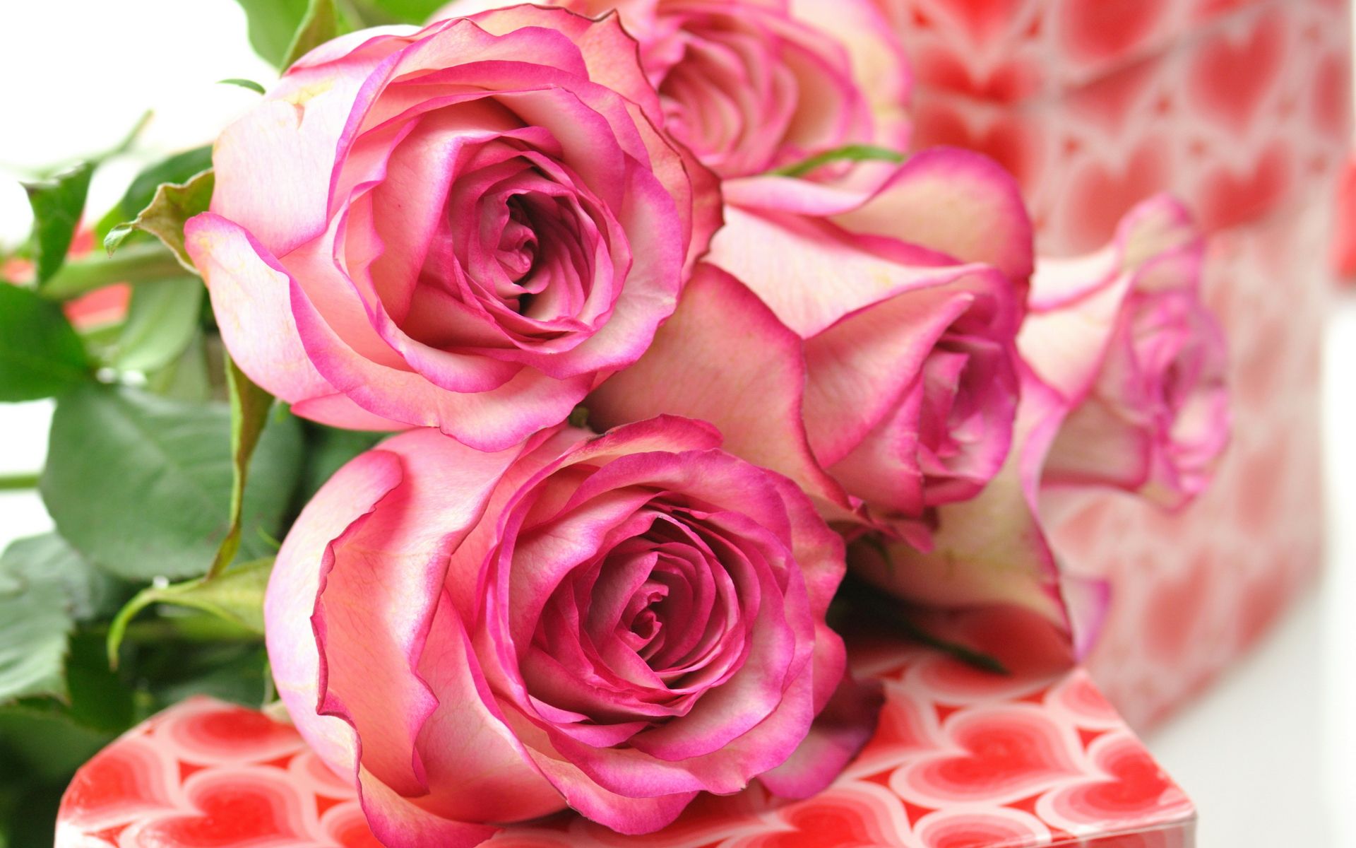 Rose rosa e regali cuori, 1920x1200 Full HD+, Laptop
