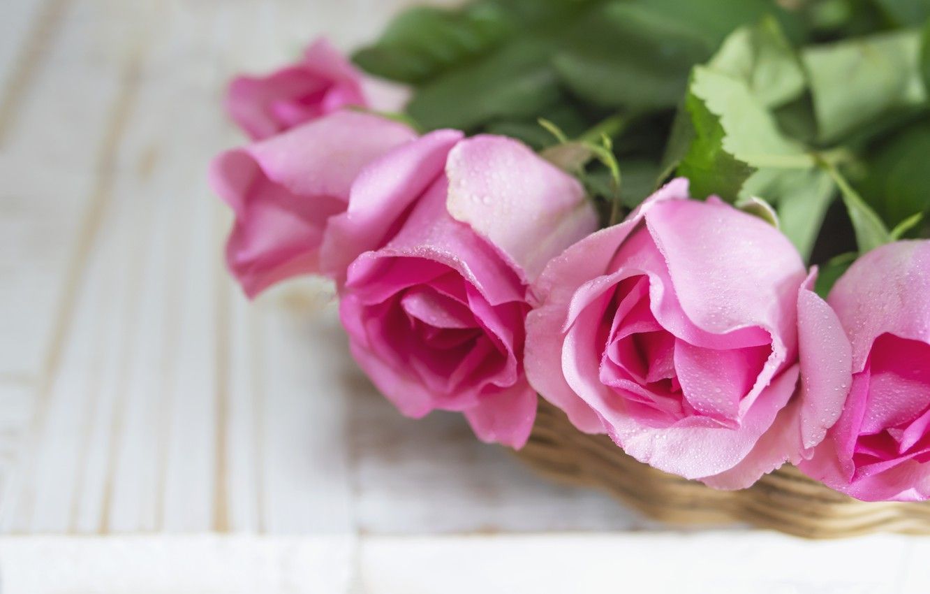 Bouquet rose rosa, 1332x850 HD, Desktop