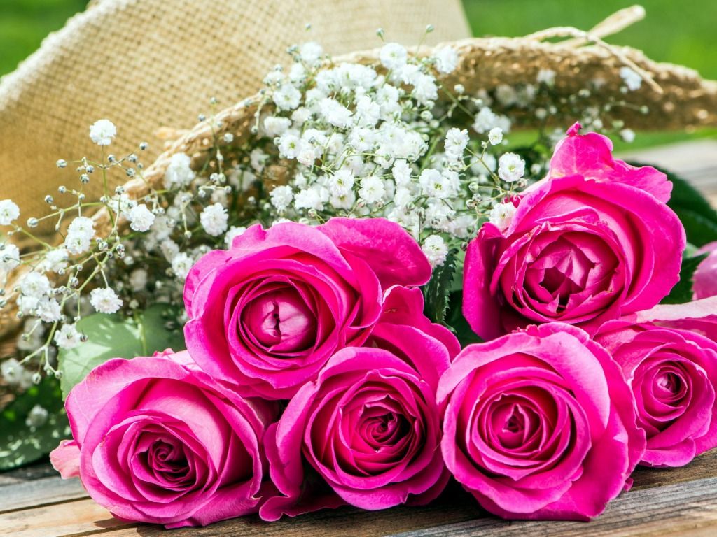 Rose rosa e fiori bianchi, 1024x768 HD, Desktop