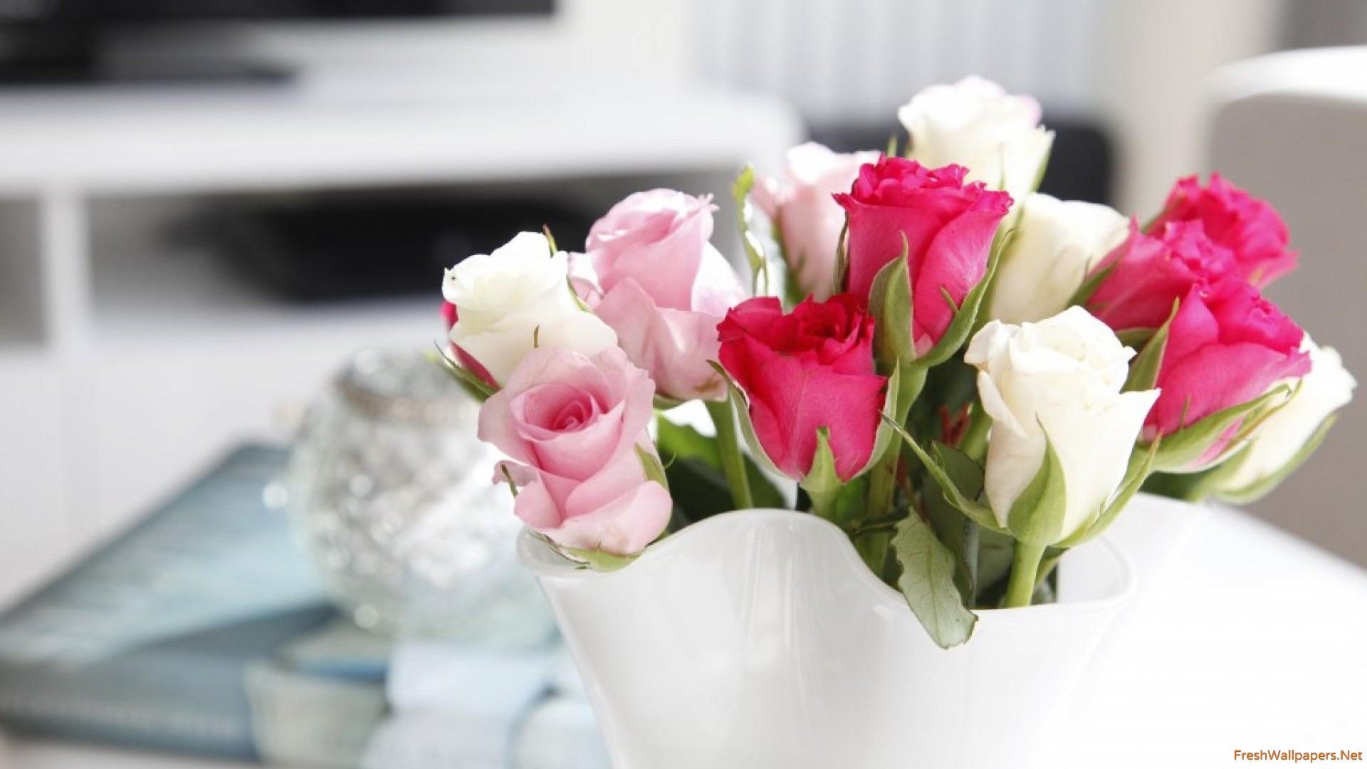 Rose rosa e bianche in vaso, 1920x1080 Full HD, PC