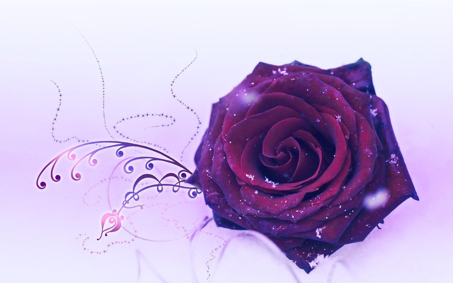 Rosa viola con decorazioni, 1920x1200 WUXGA, Desktop